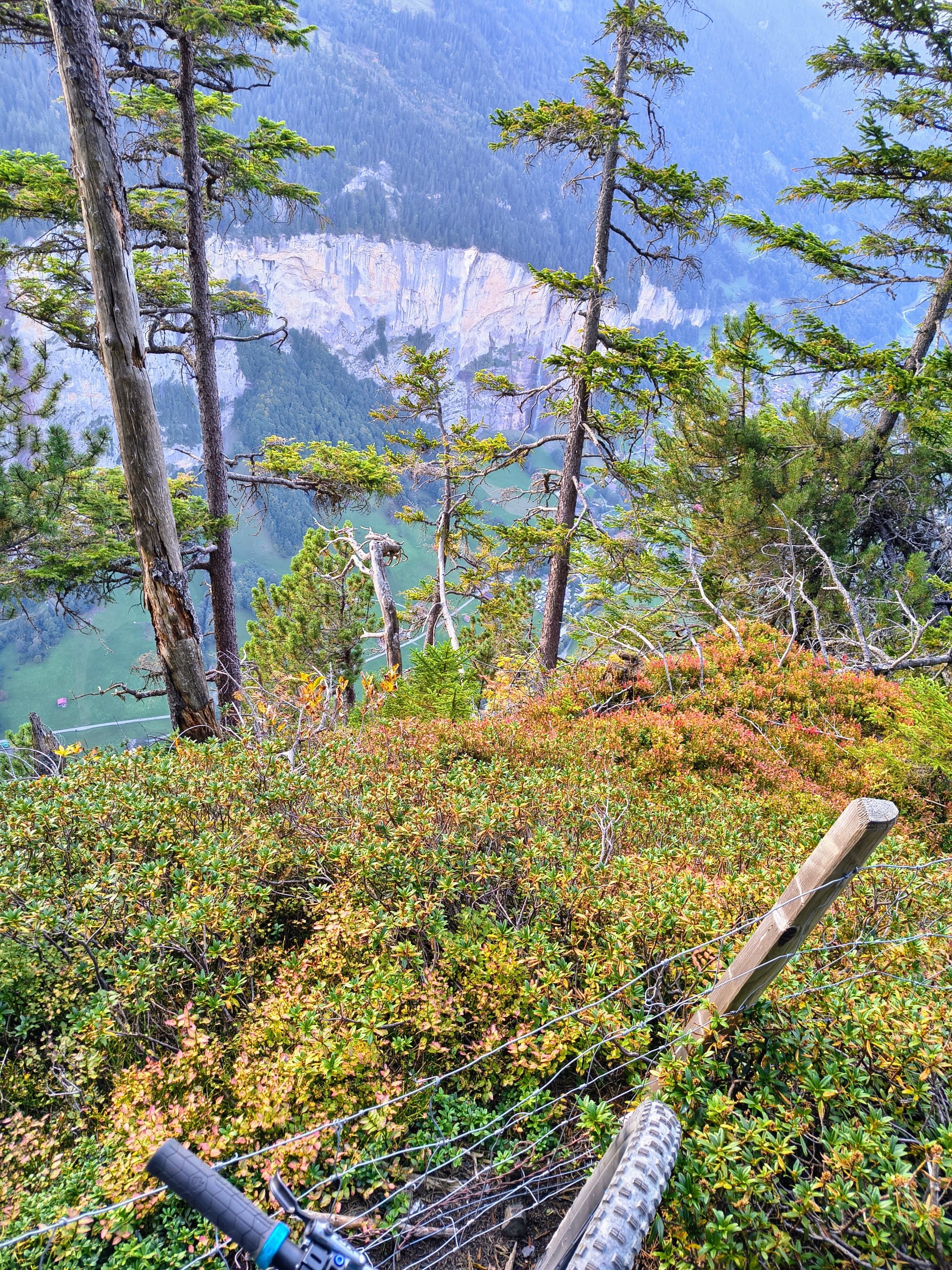 IMG_20250920_181318709_HDR_AE.jpg
