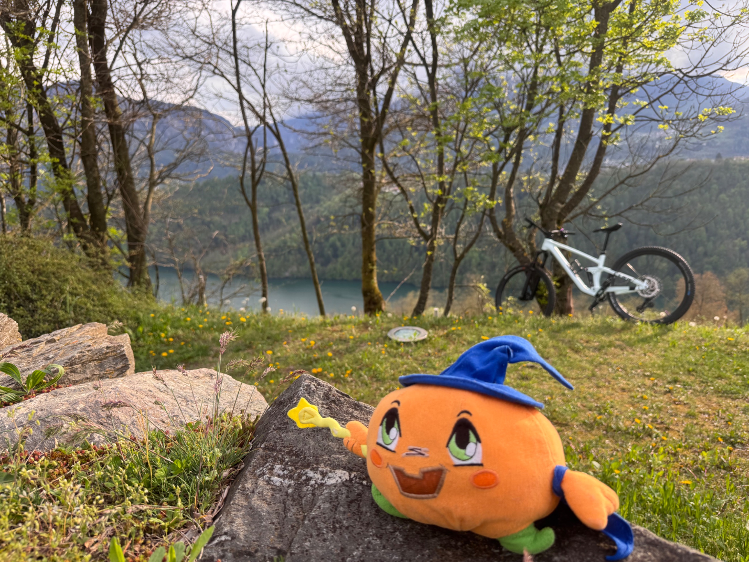 IMG_2026.jpeg