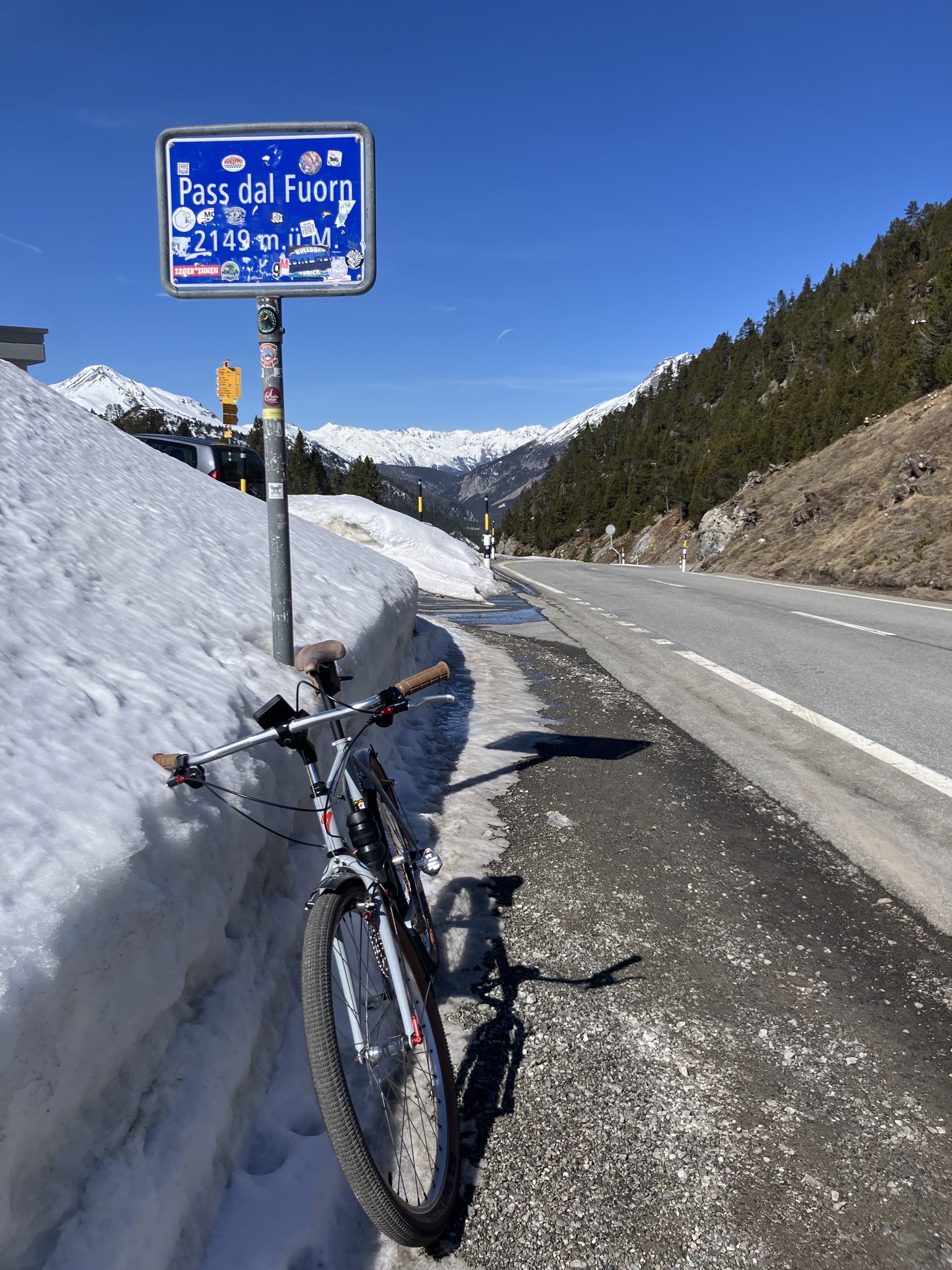 IMG_2153.jpeg