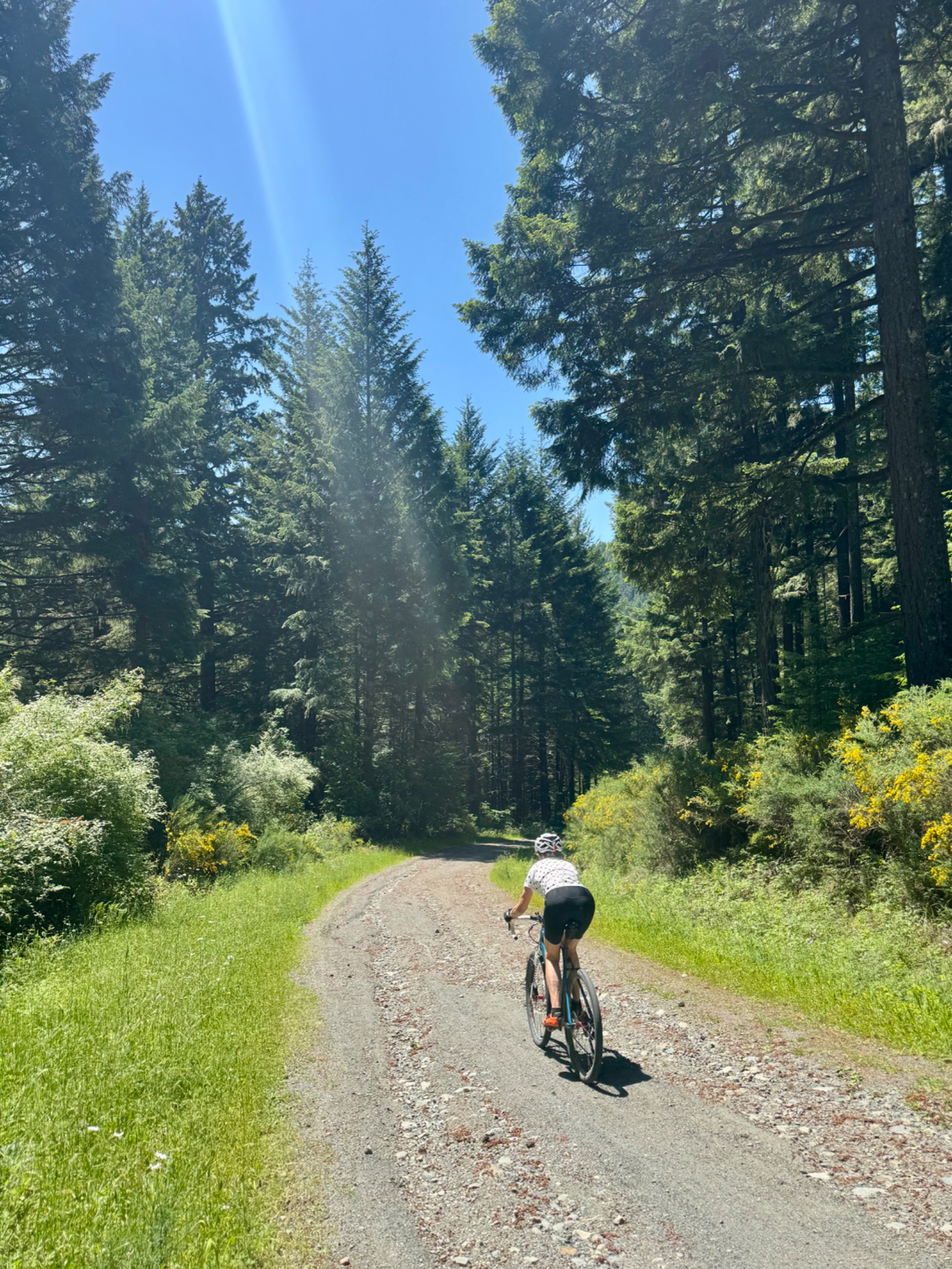IMG_2173.jpeg