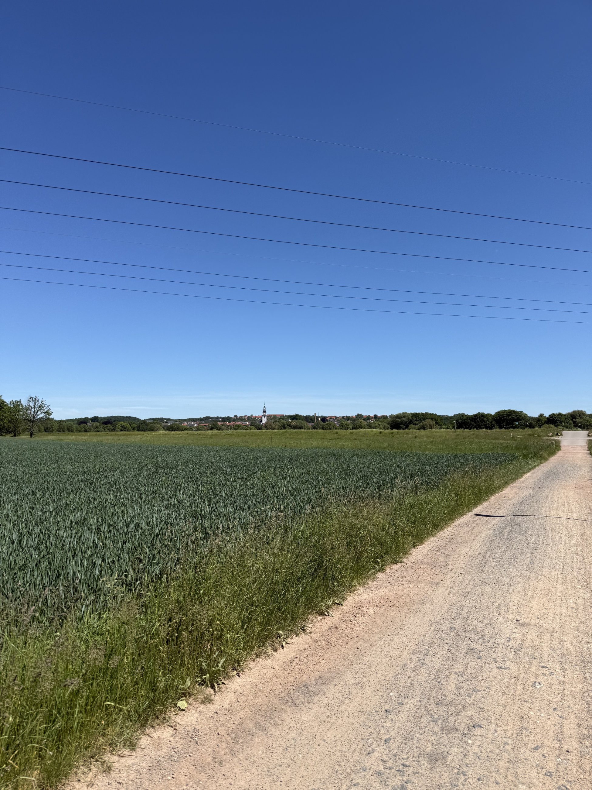 IMG_2180.jpeg