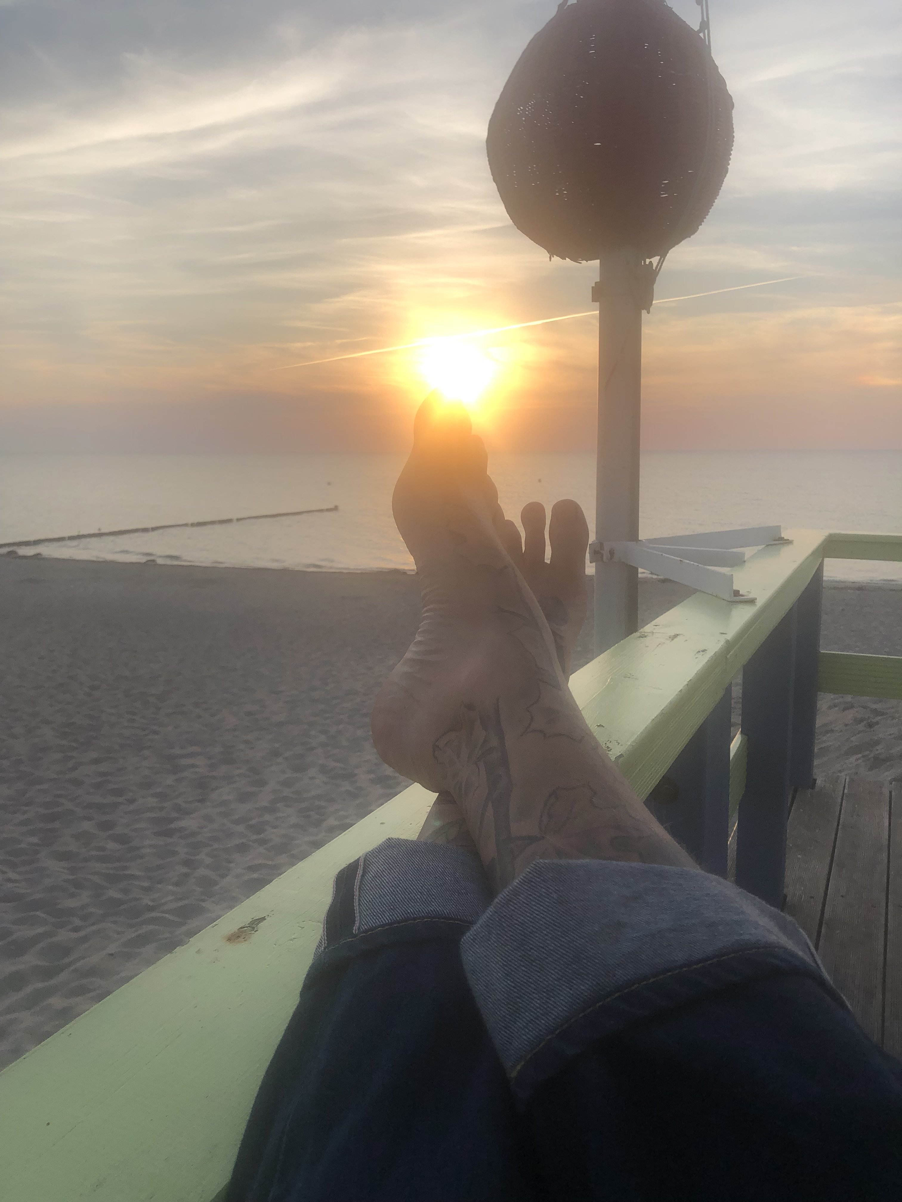 IMG_2205.jpeg