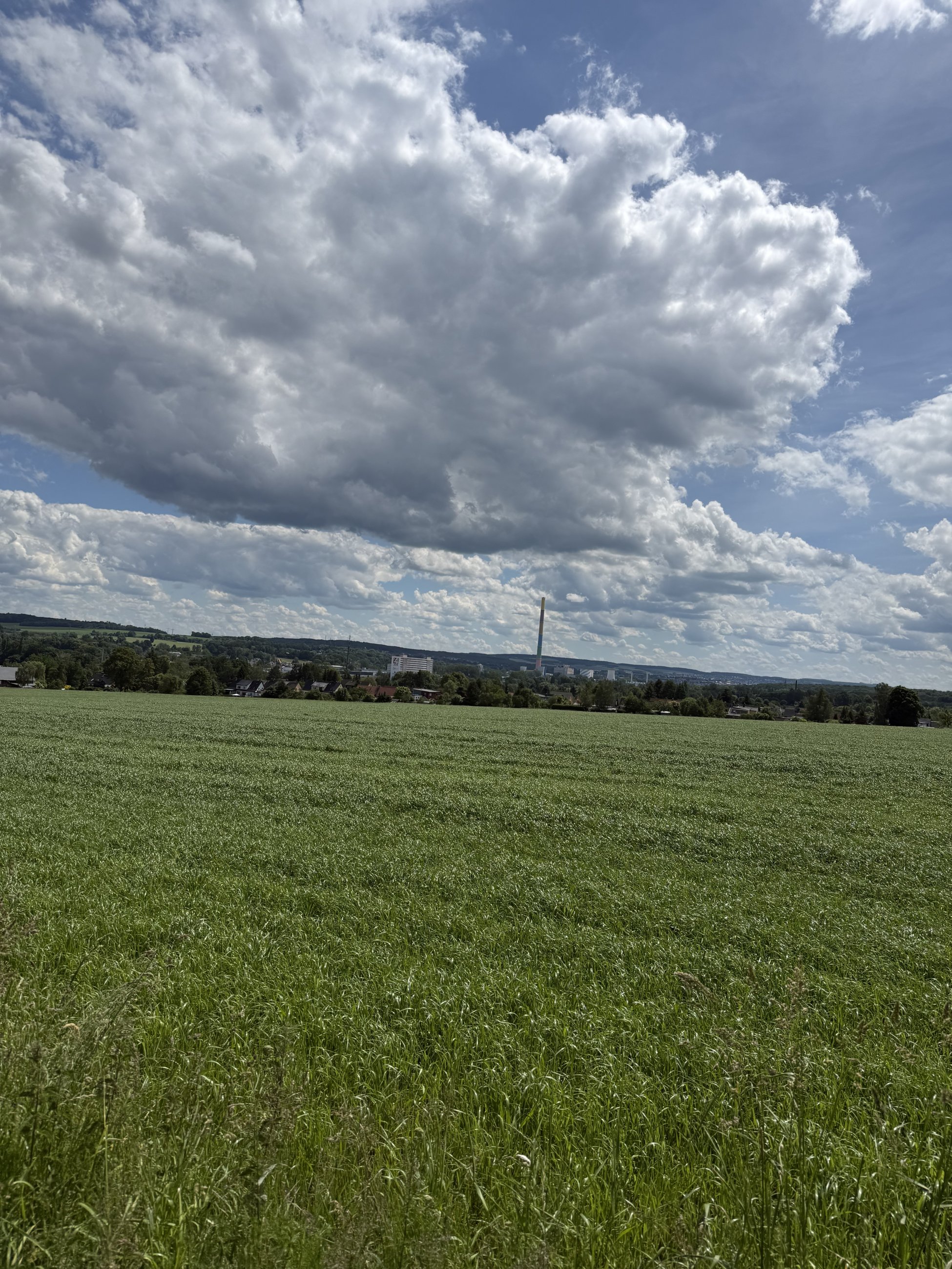 IMG_2297.jpeg