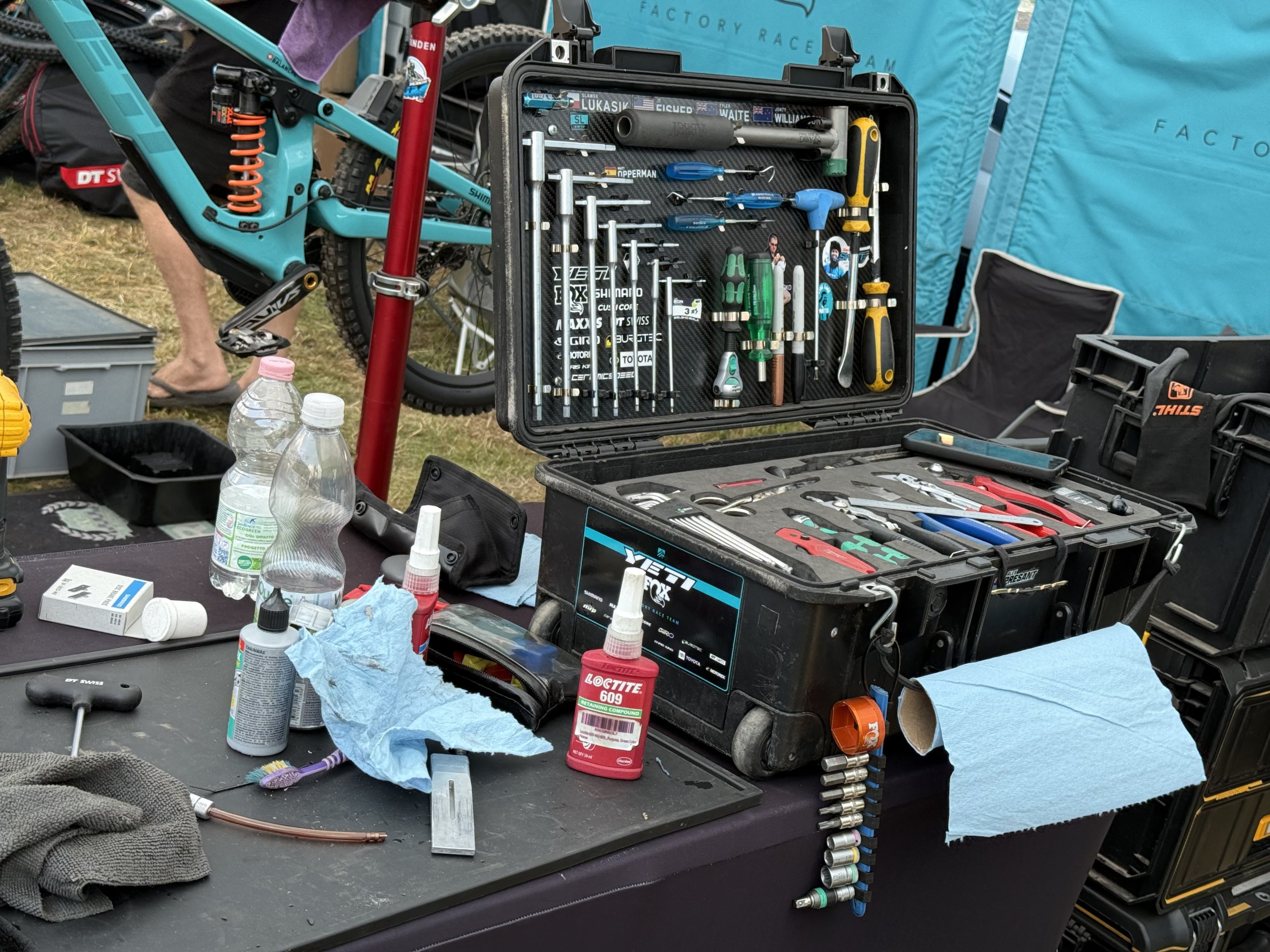 IMG_2325.jpeg