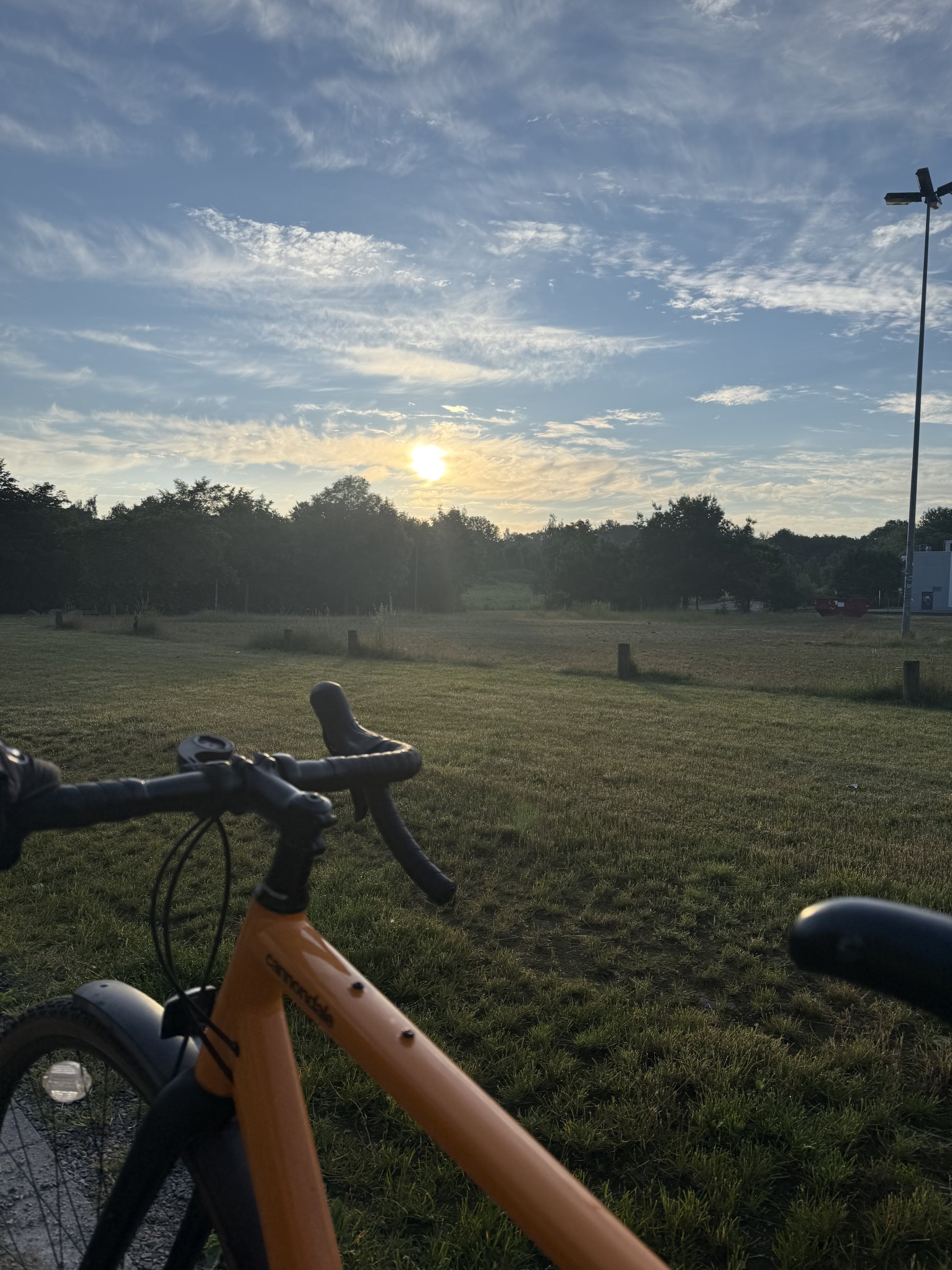 IMG_2377.jpeg