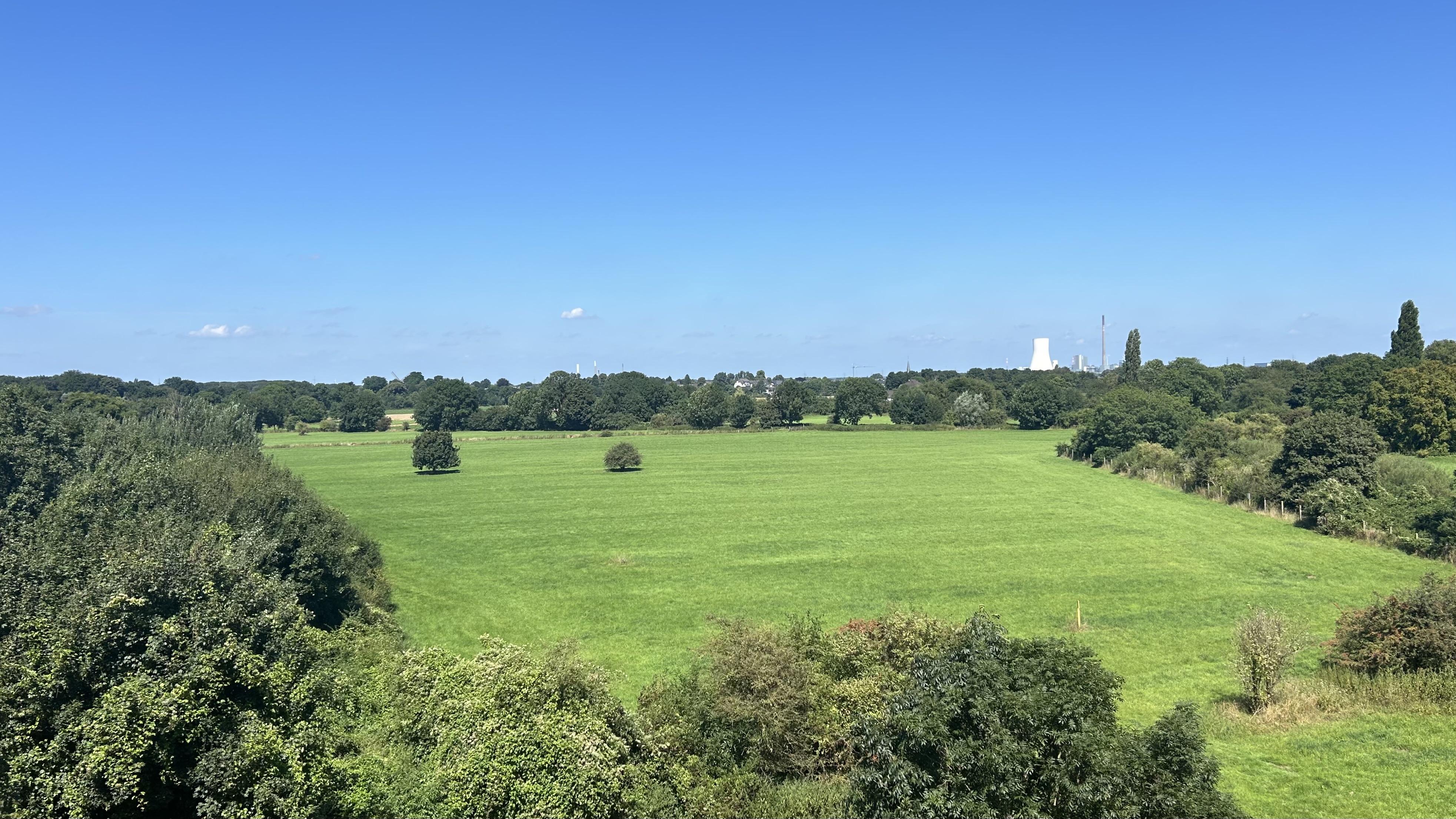 IMG_2451.jpeg