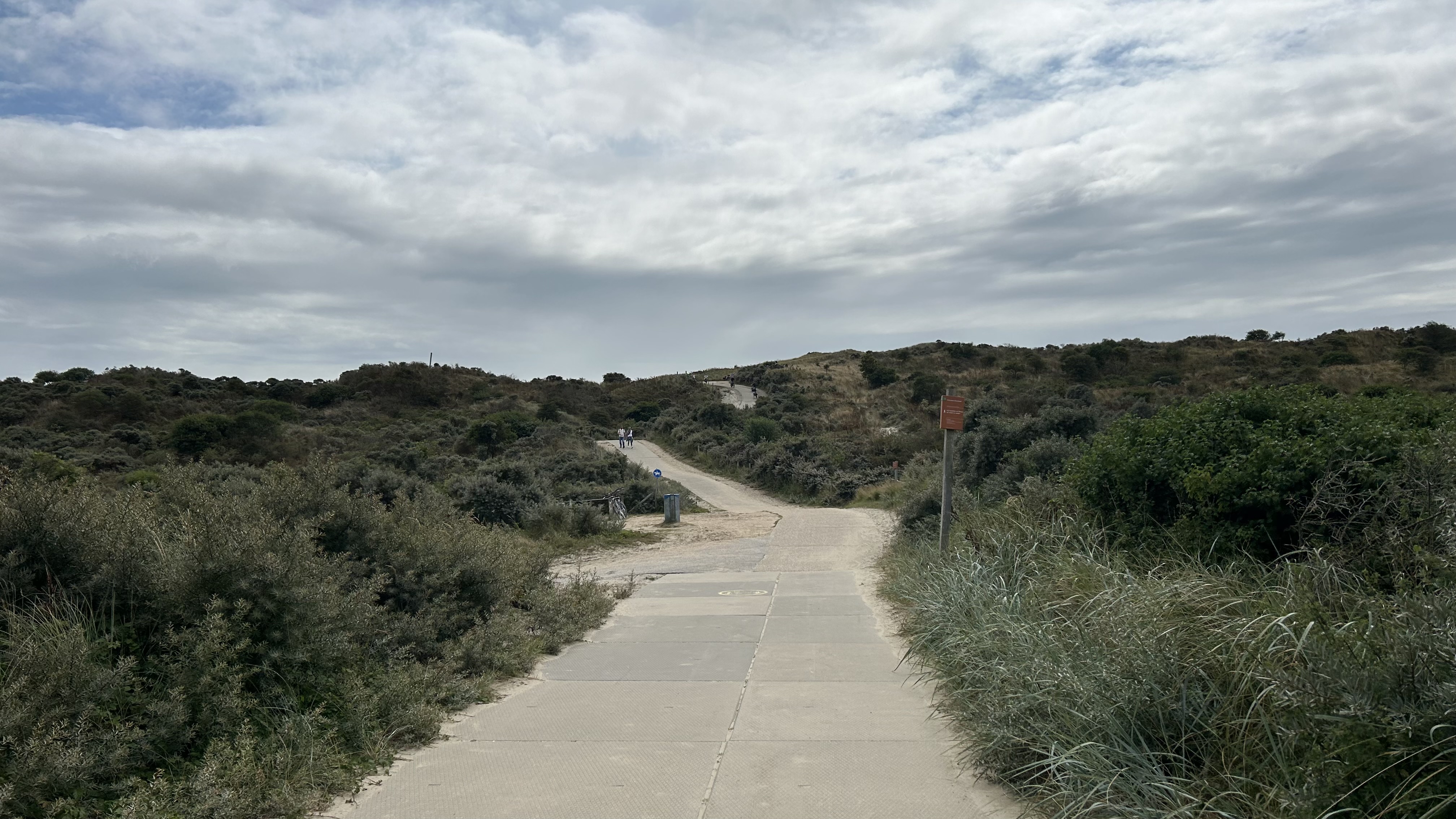 IMG_2565.jpeg