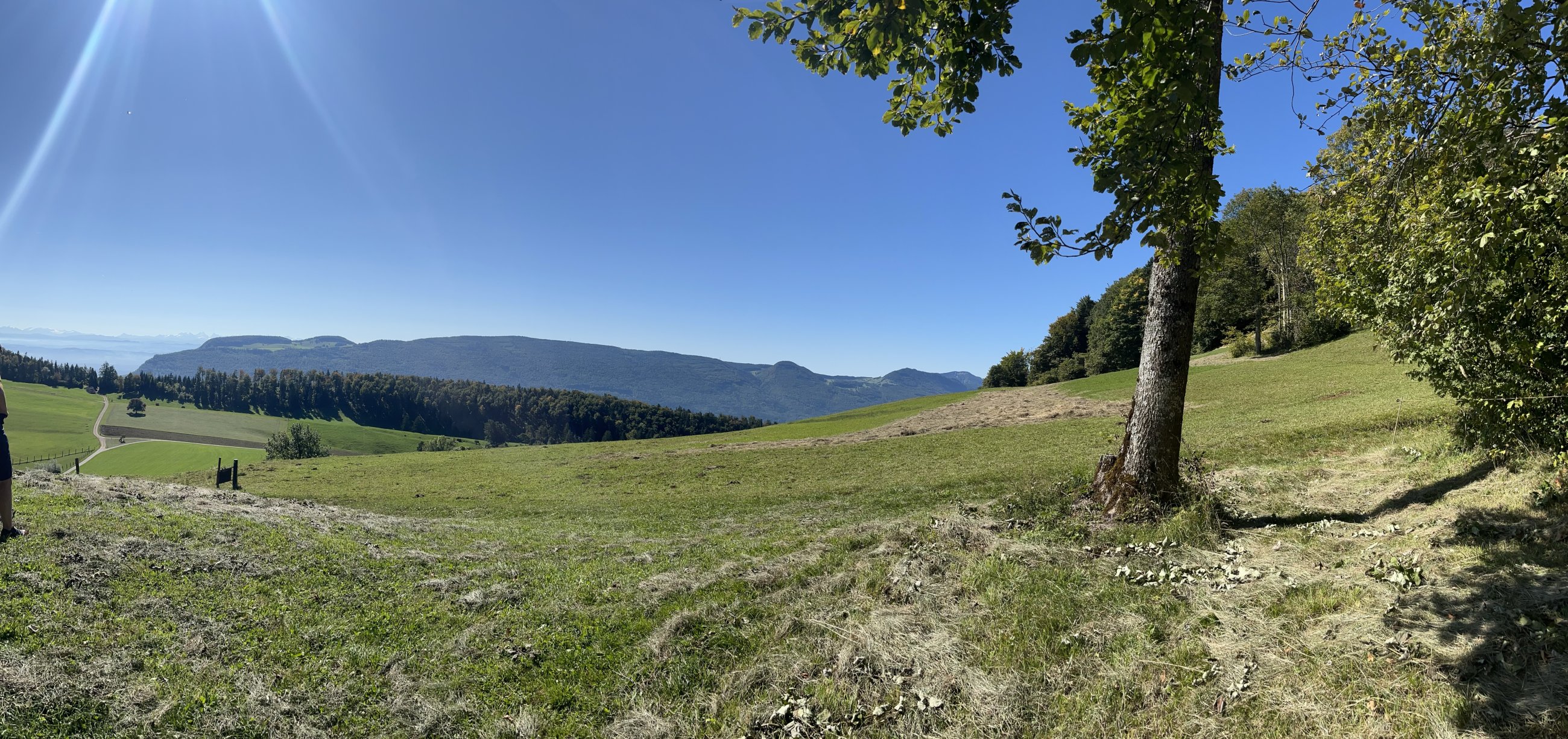 IMG_2579.jpeg