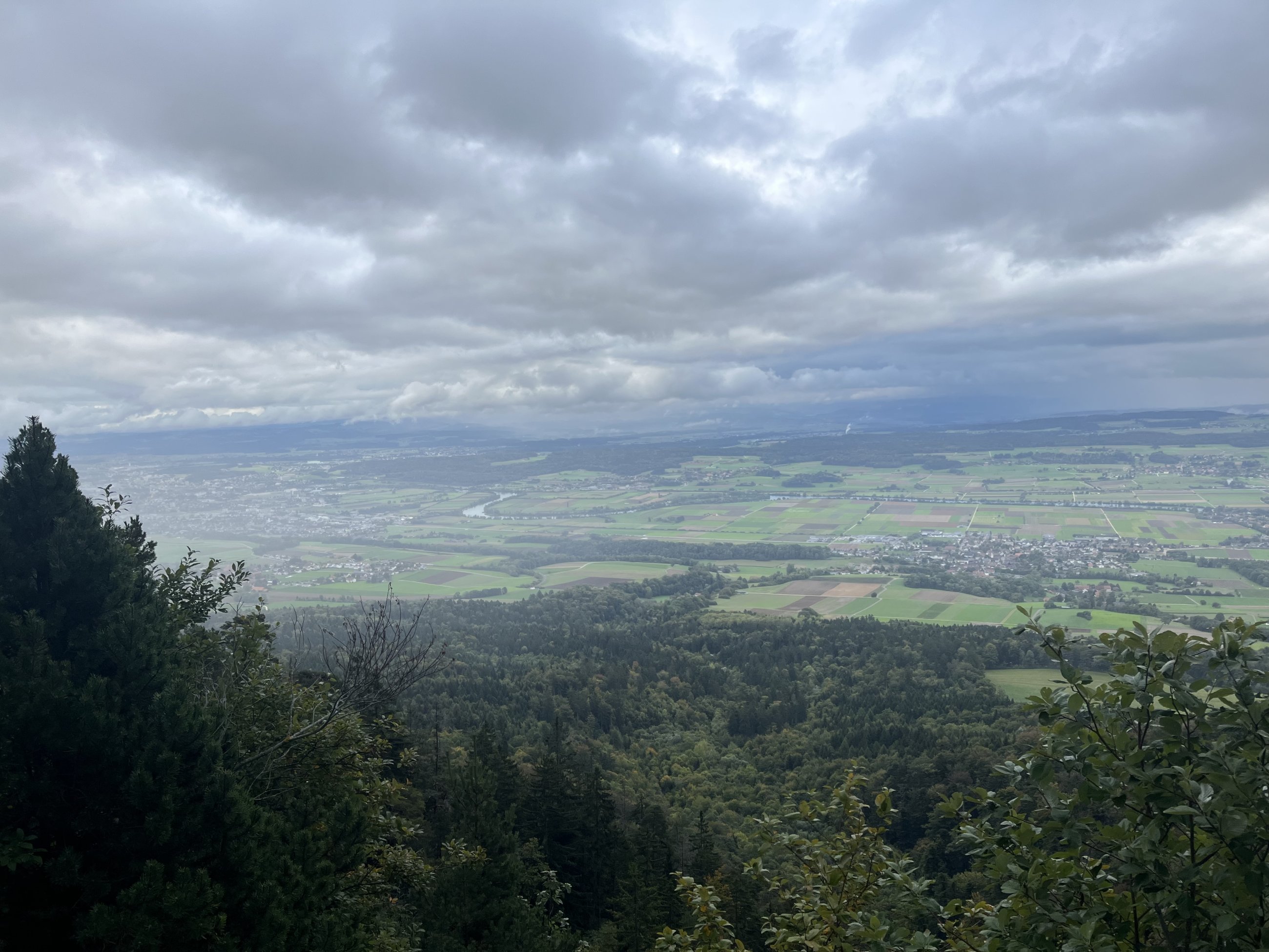 IMG_2589.jpeg