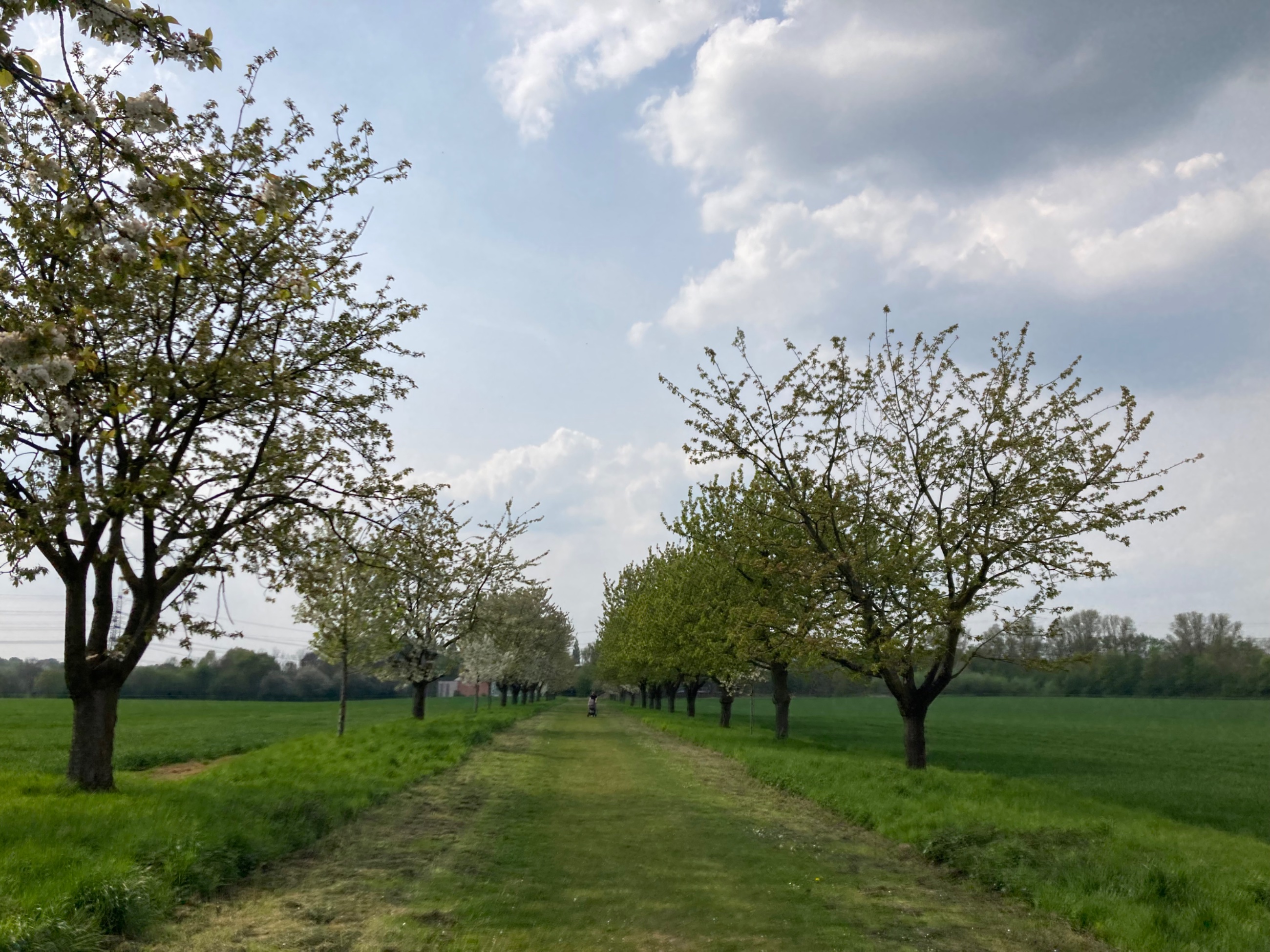 IMG_2595.jpeg