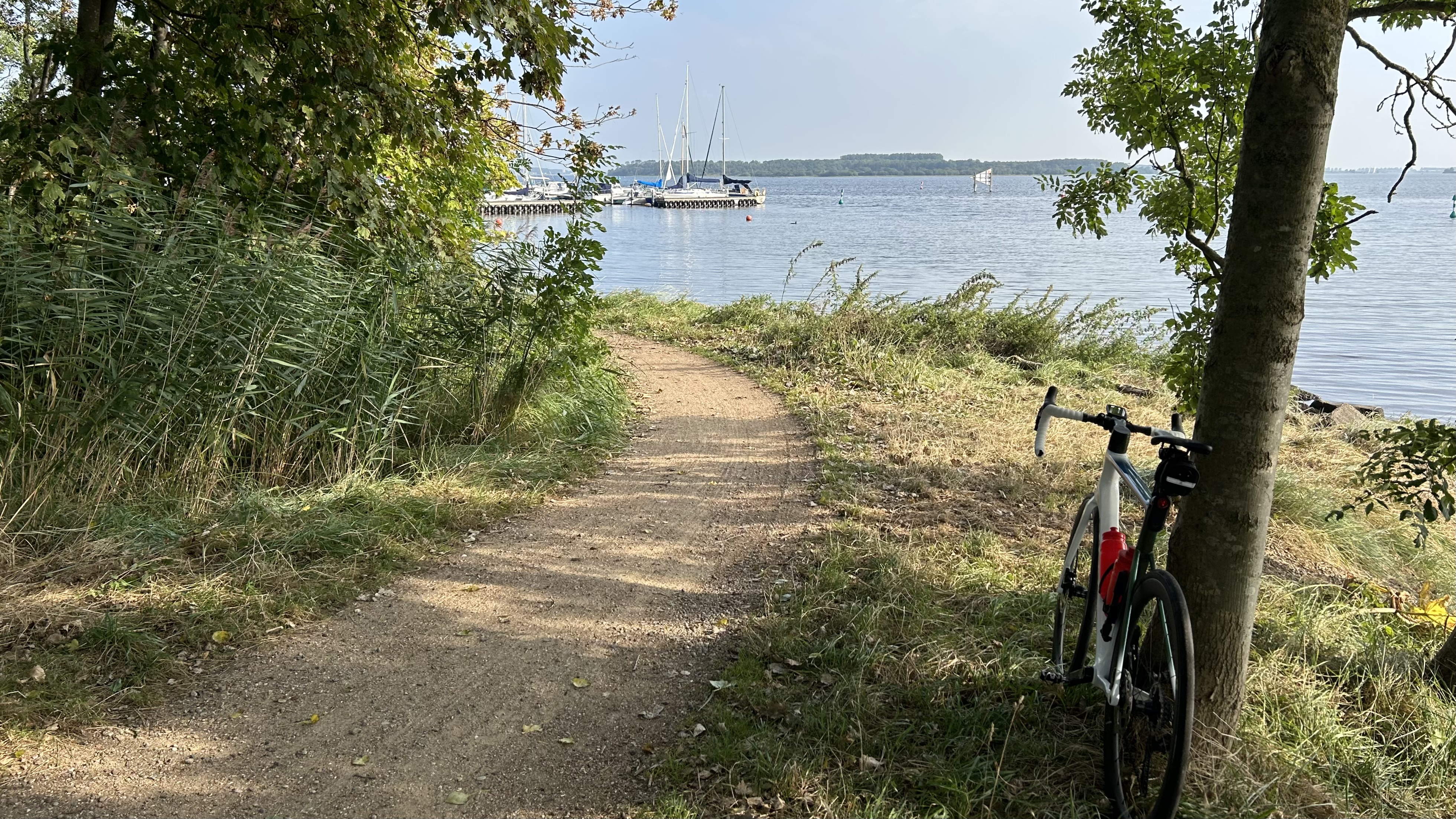 IMG_2631.jpeg