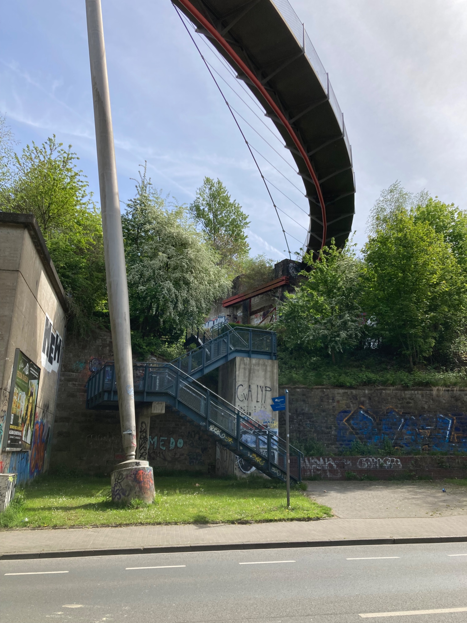 IMG_2656.jpeg