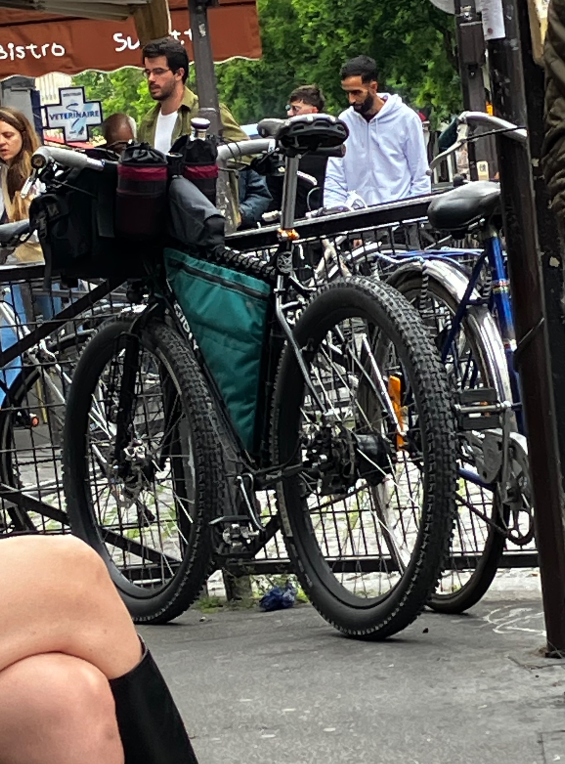 IMG_2731.jpeg