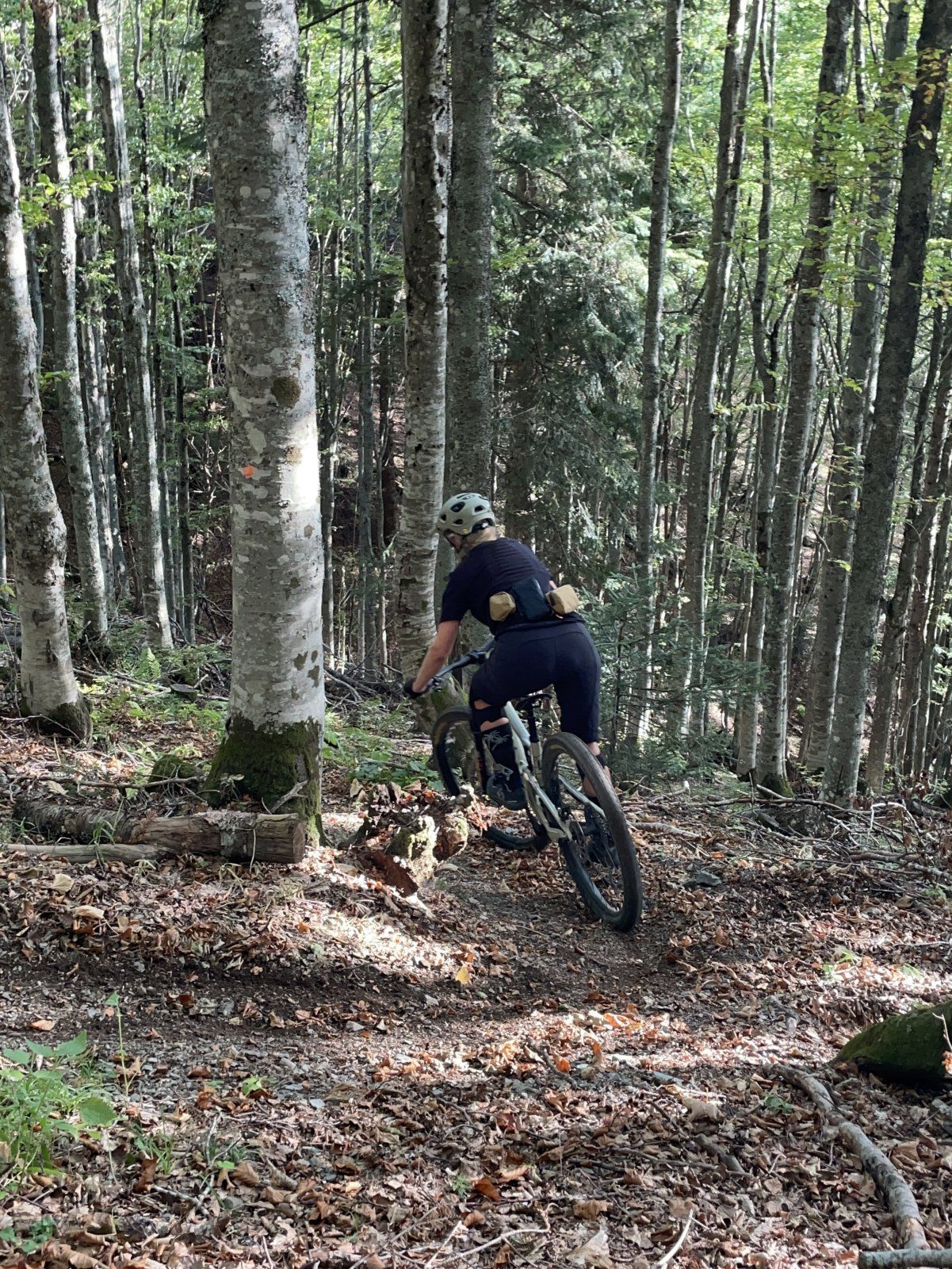 Kupres Trail Monster Downhill