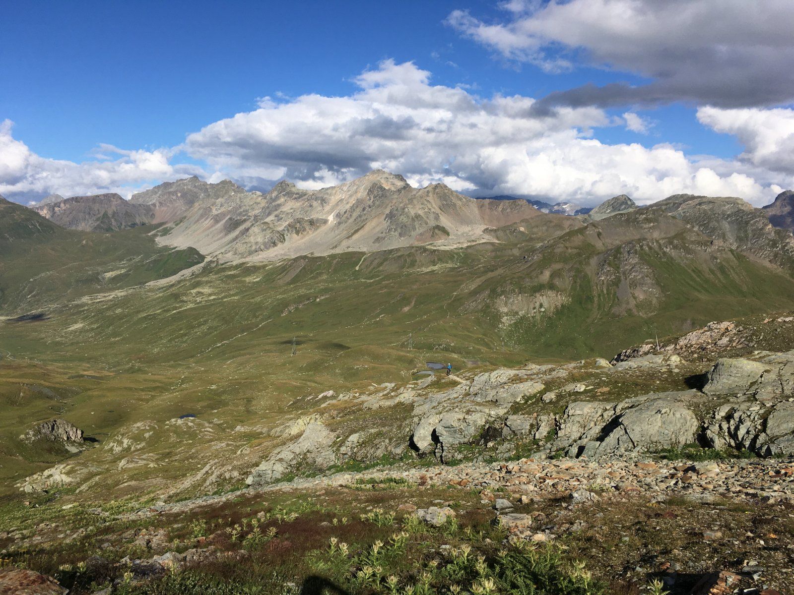 IMG_2761.JPG