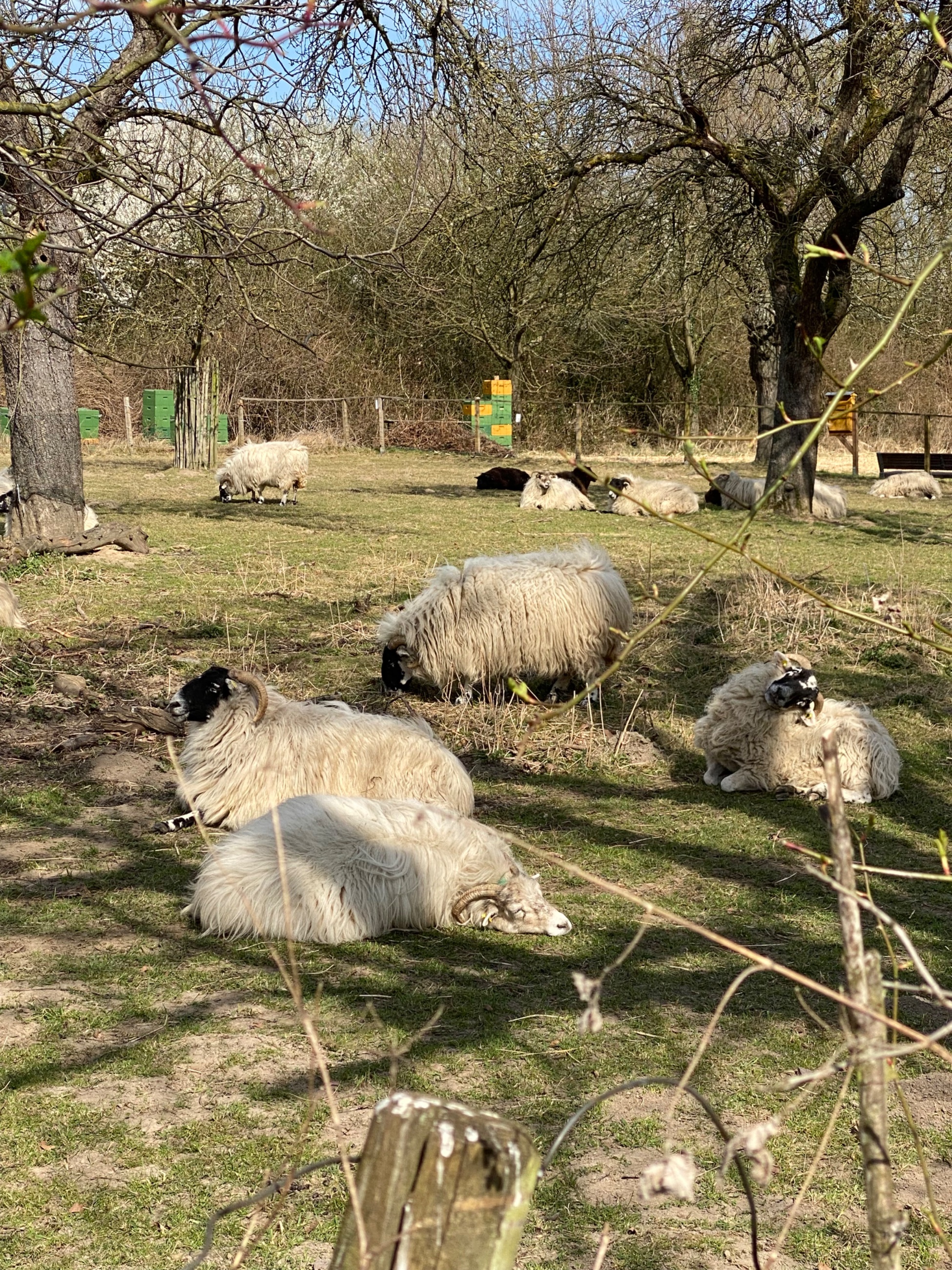 IMG_2844.jpeg