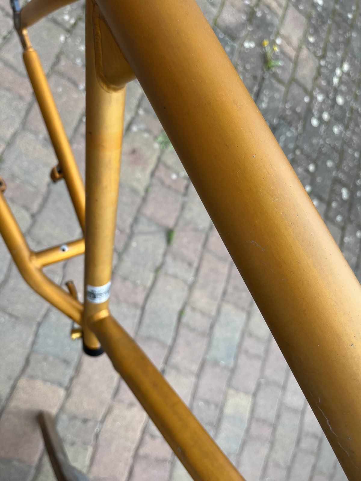 IMG_2857.jpeg