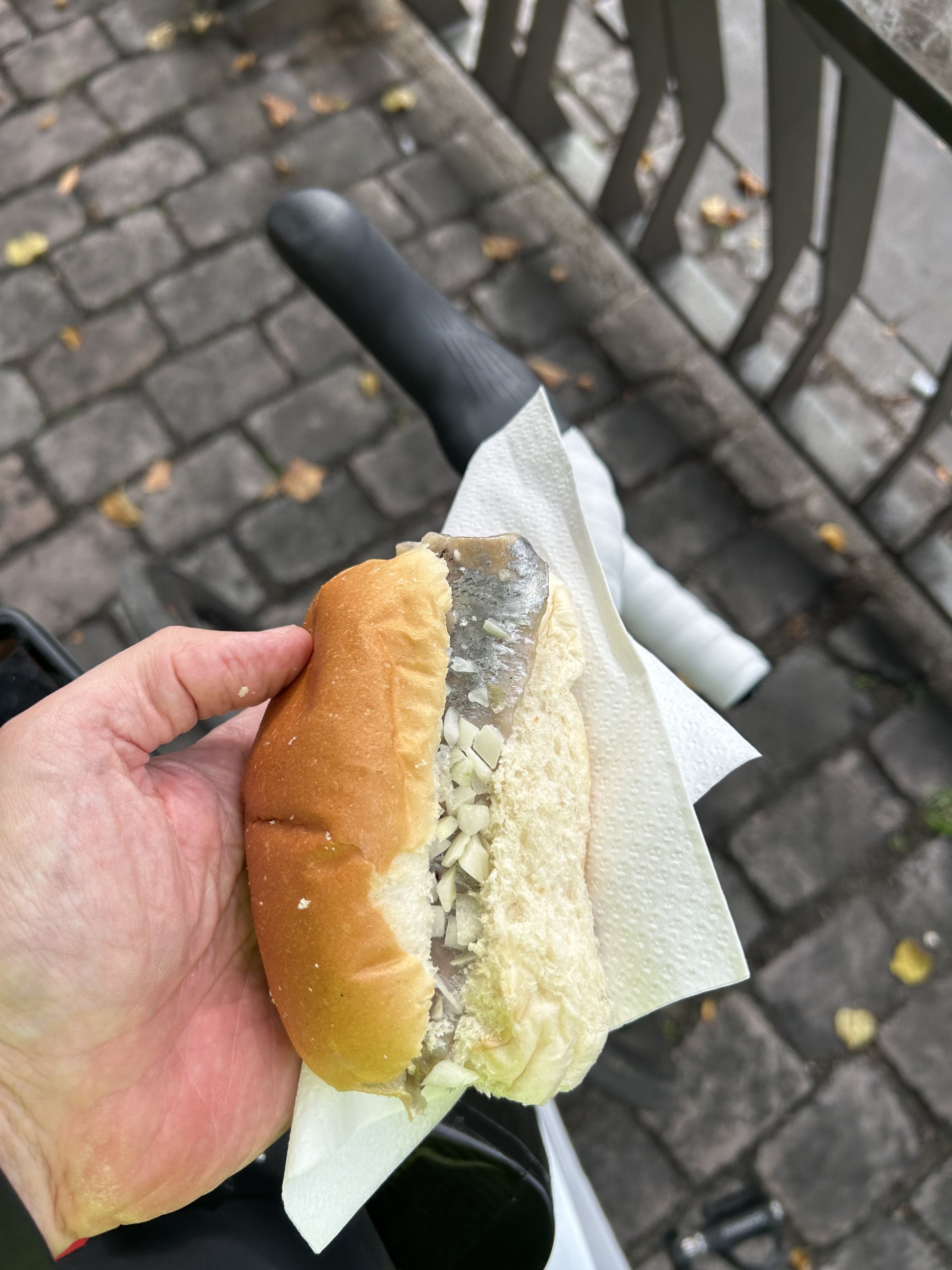 IMG_2876.jpeg