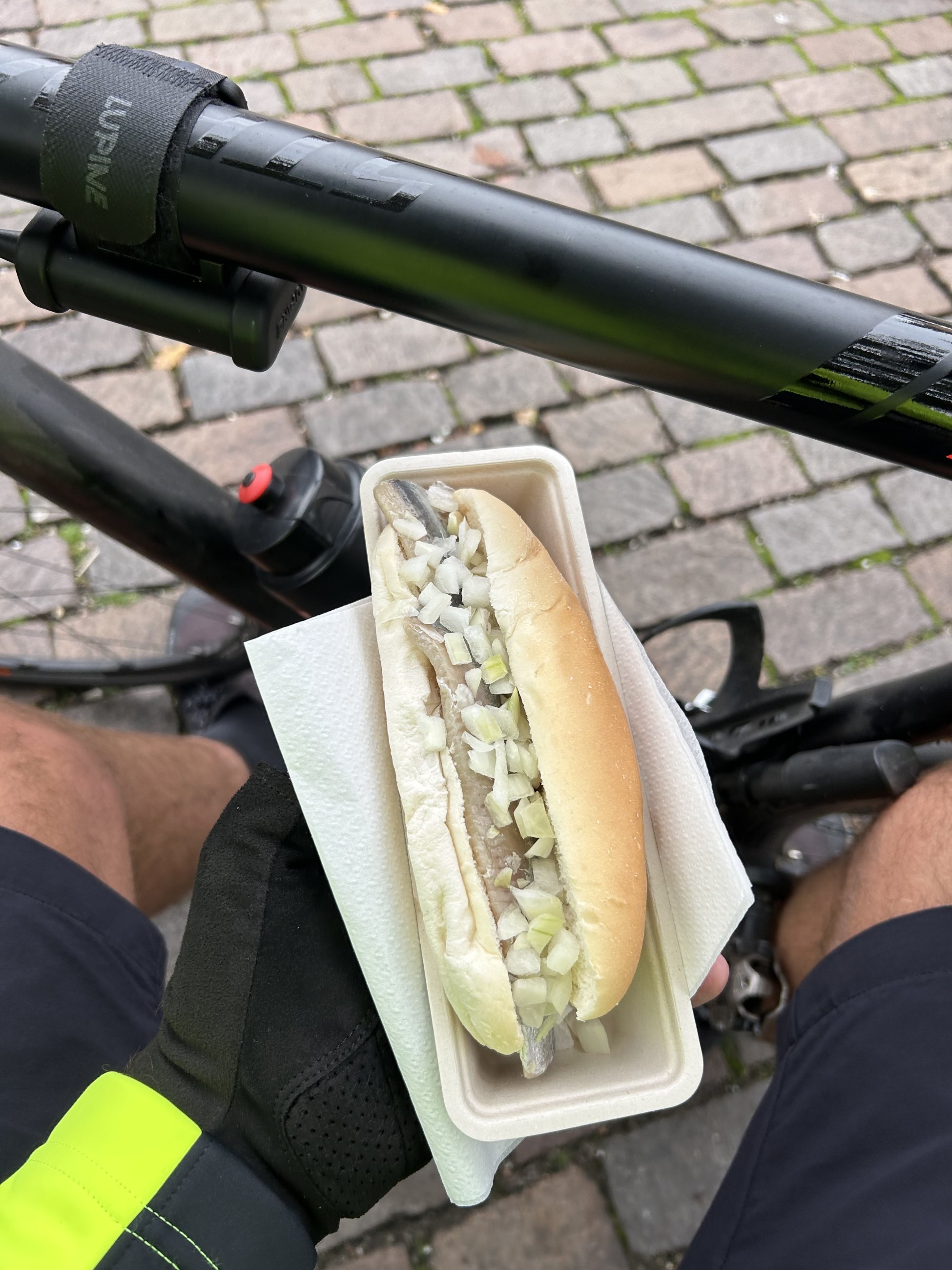 IMG_2940.jpeg