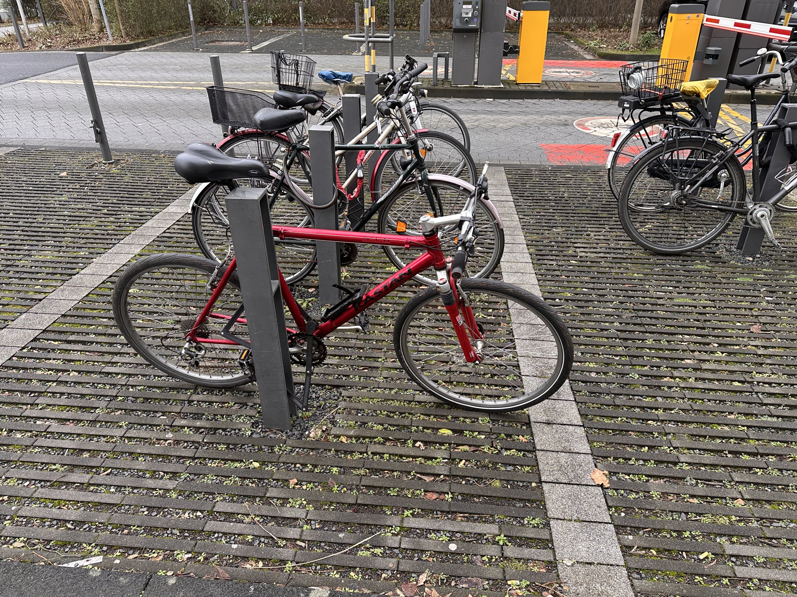 IMG_2972.jpeg