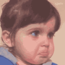 IMG_3005.gif