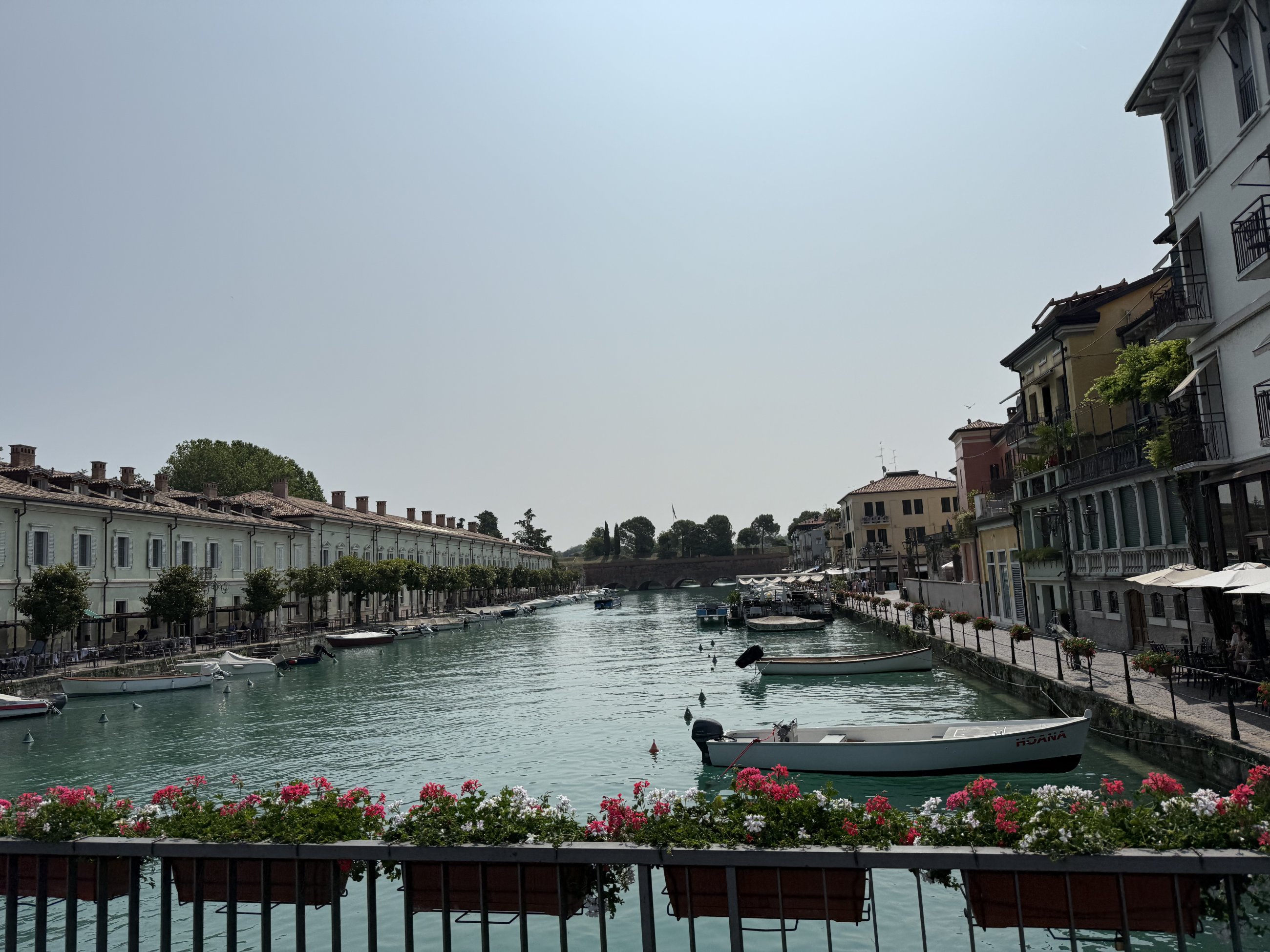 IMG_3147.jpeg