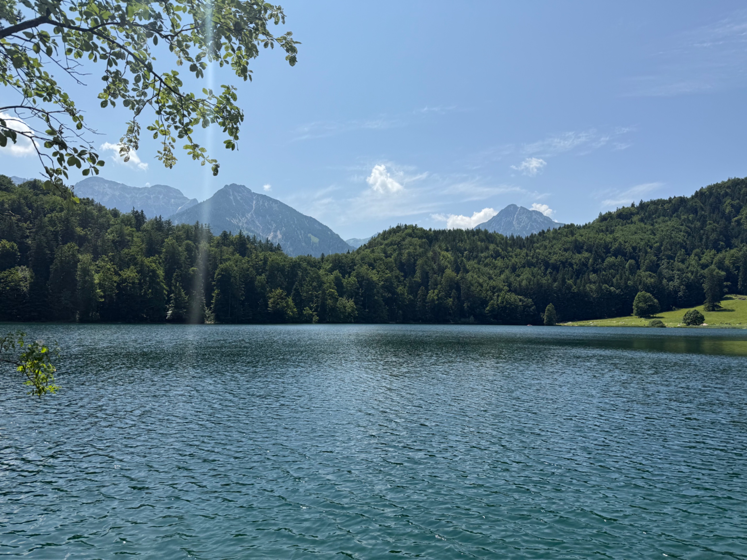 IMG_3266.jpeg