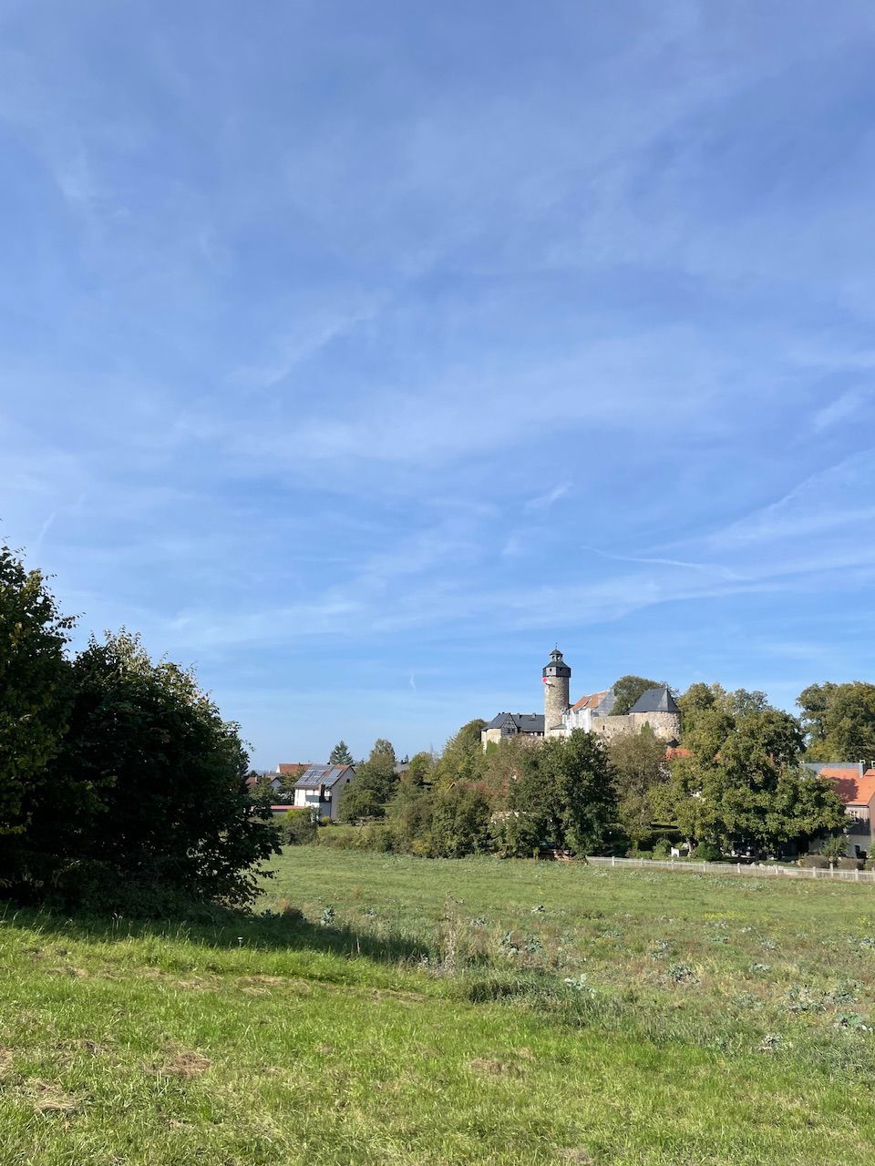 IMG_3279.jpeg