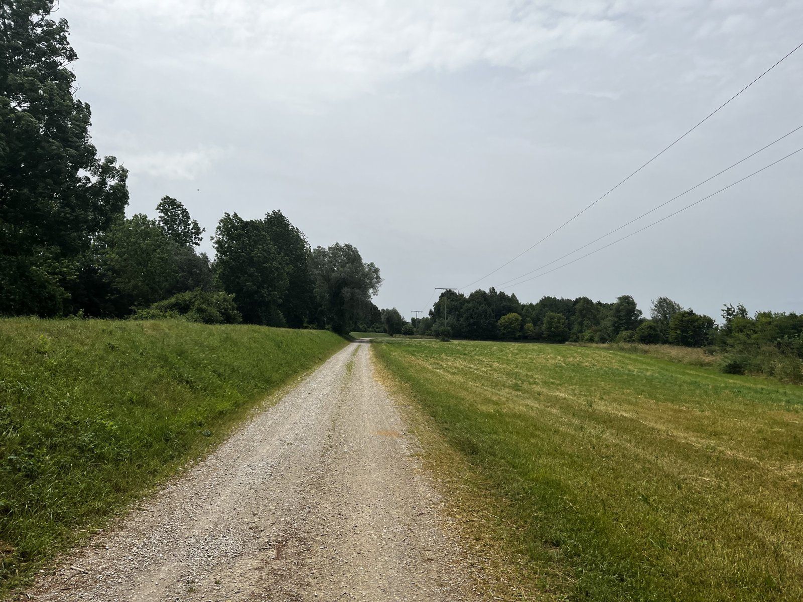 IMG_3324.jpeg