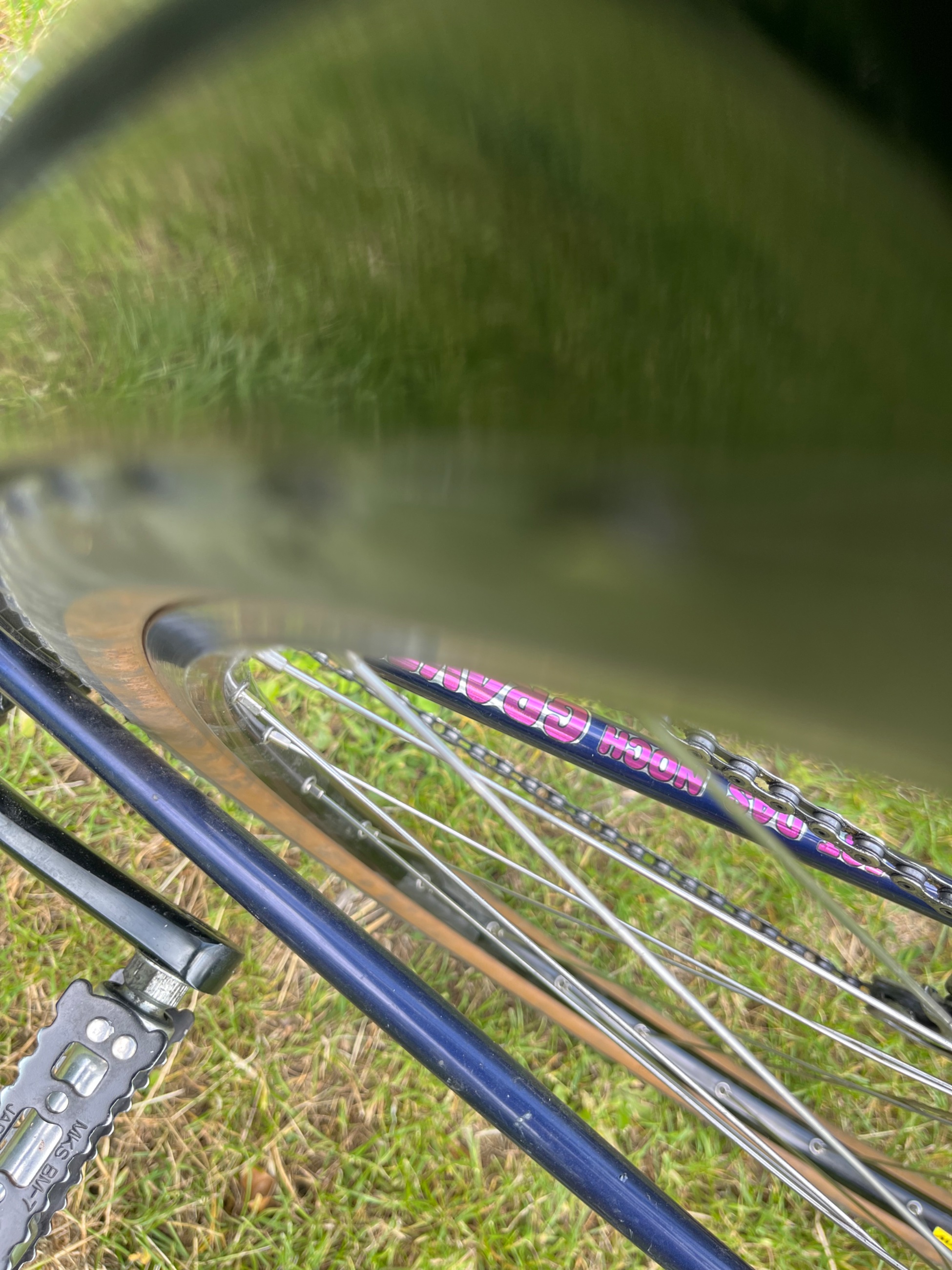 IMG_3429.jpeg