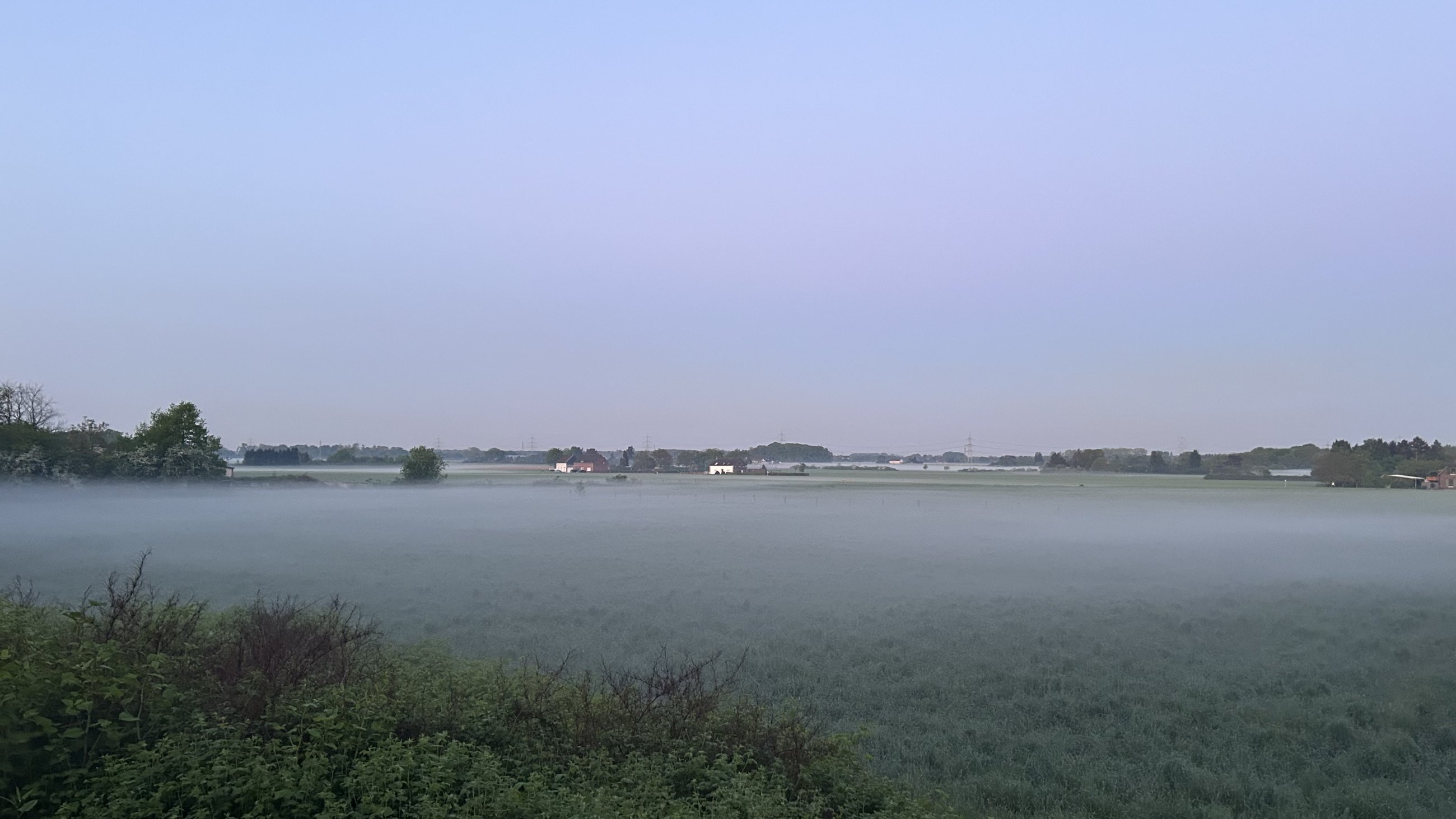 IMG_3488.jpeg
