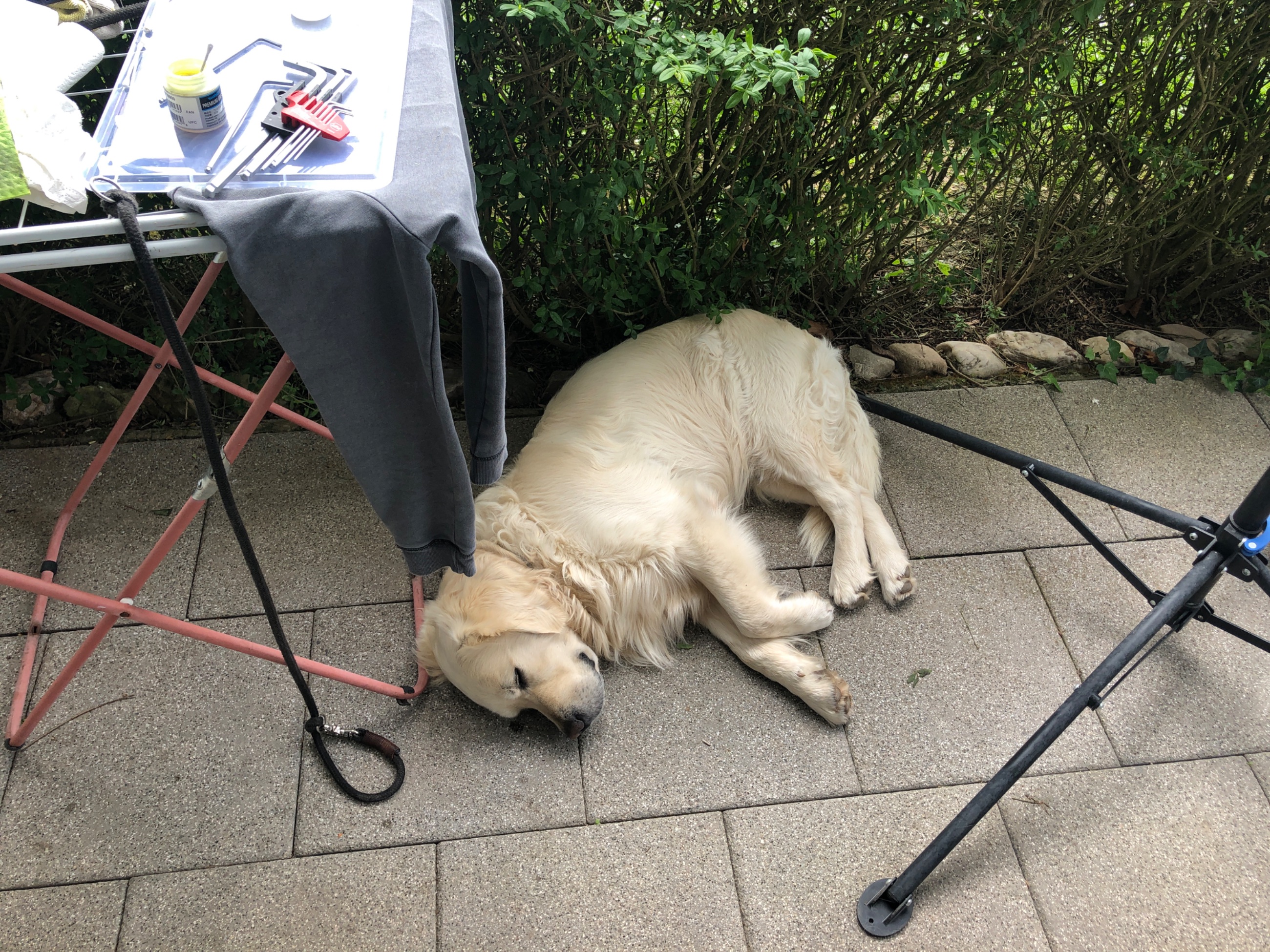 IMG_3512.jpeg
