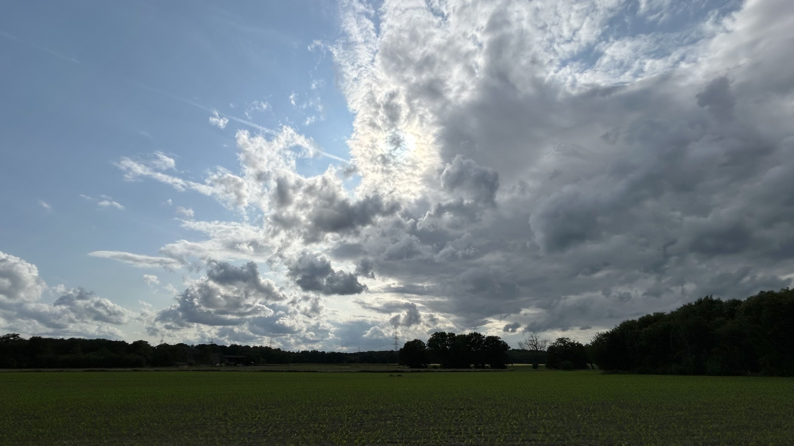 IMG_3672.jpeg