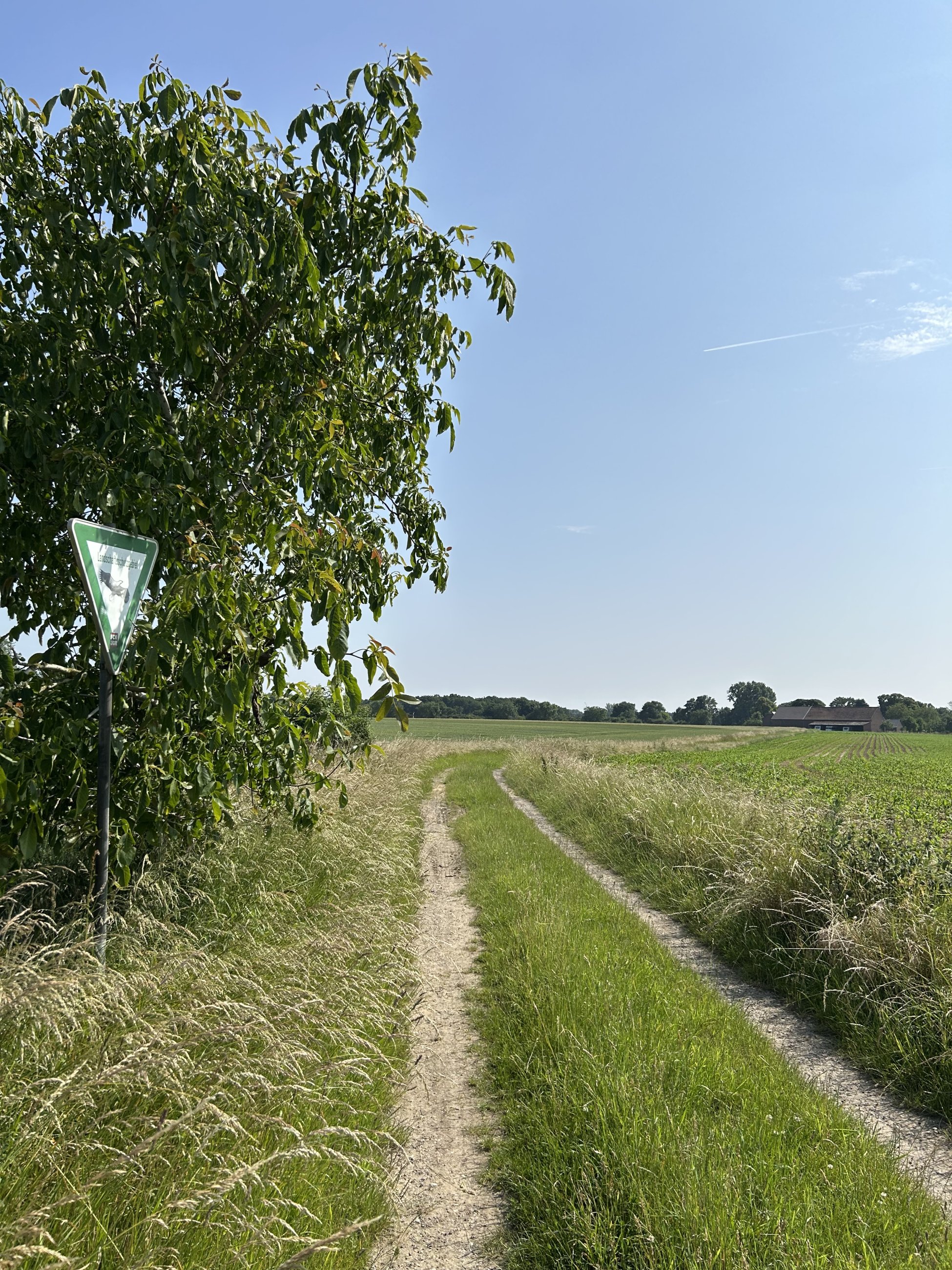 IMG_3709.jpeg