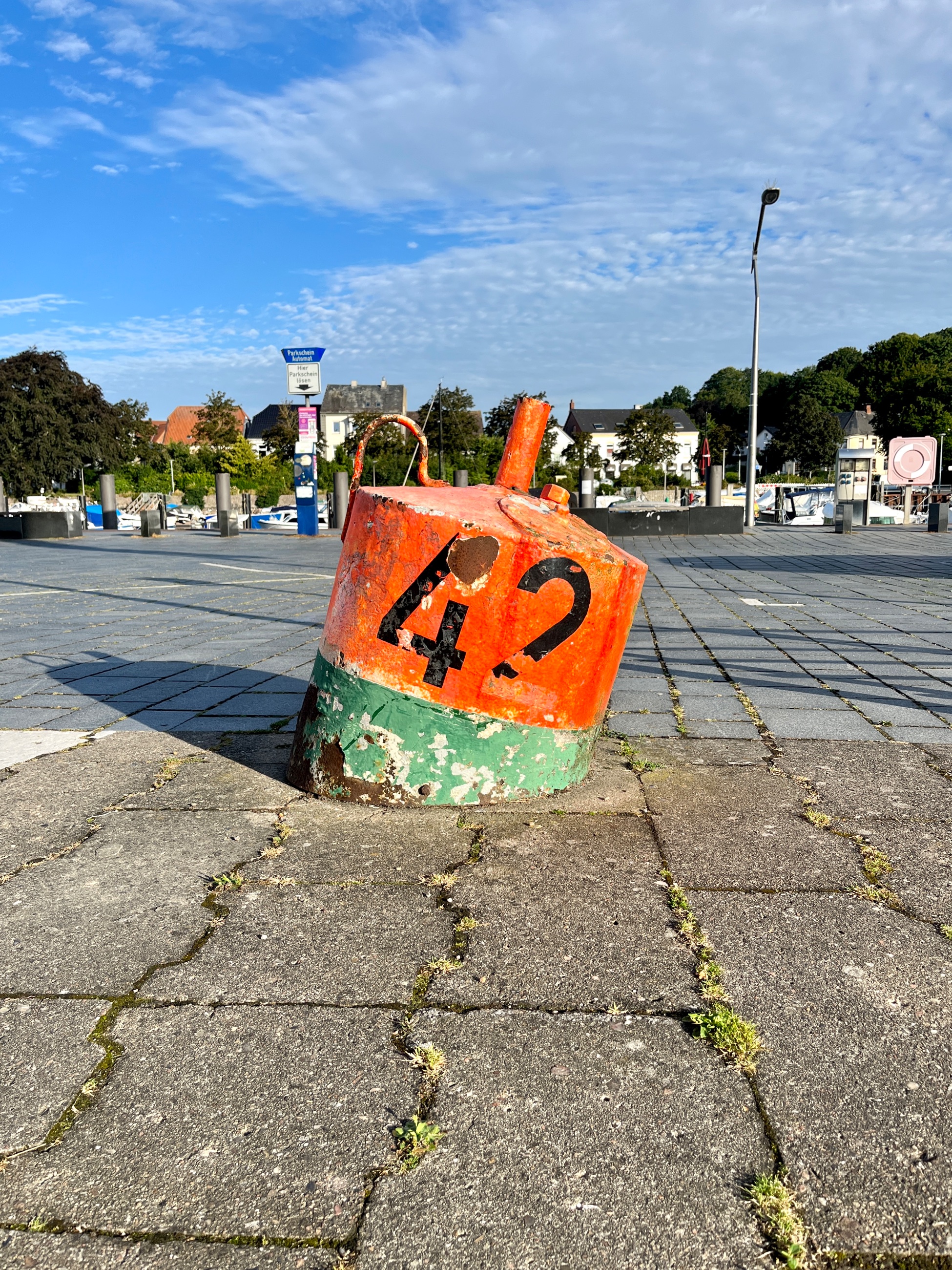 IMG_3784.jpeg