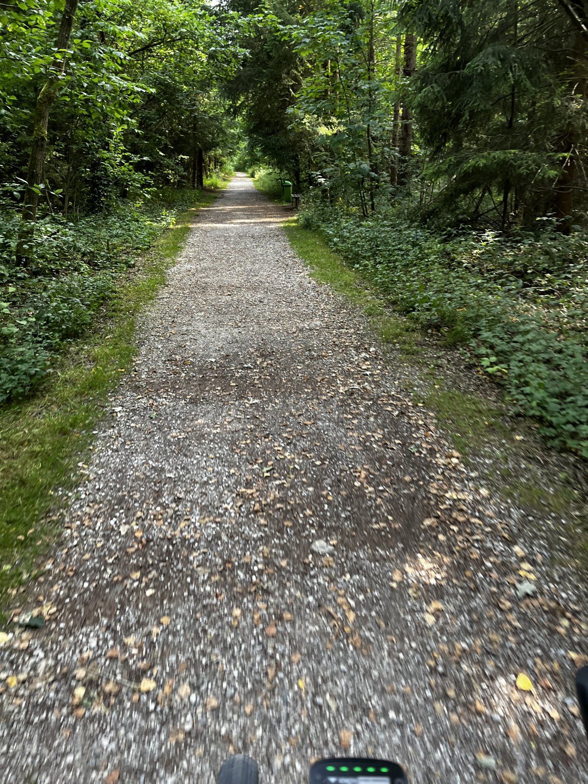 IMG_3809.jpeg