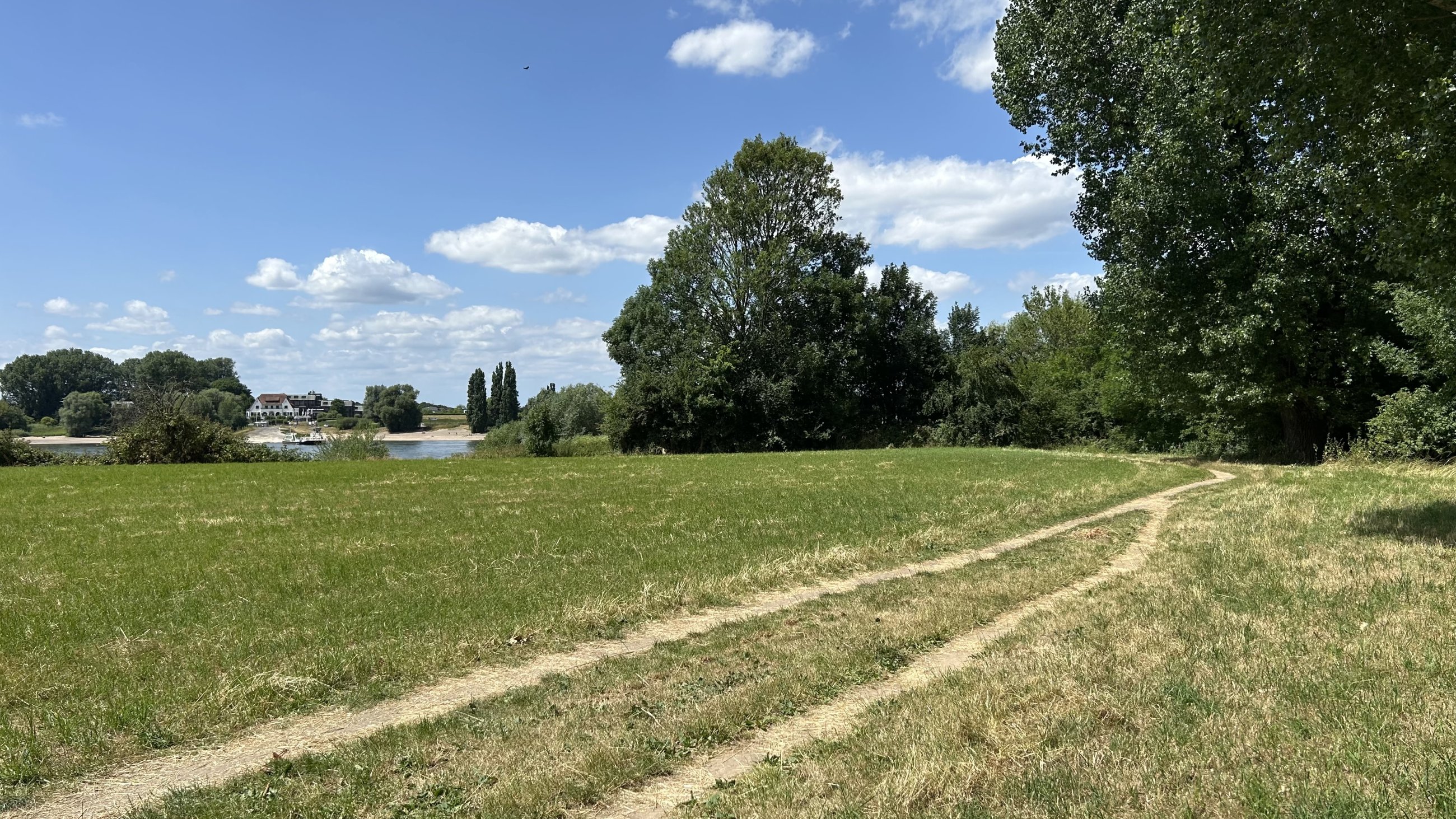 IMG_3829.jpeg