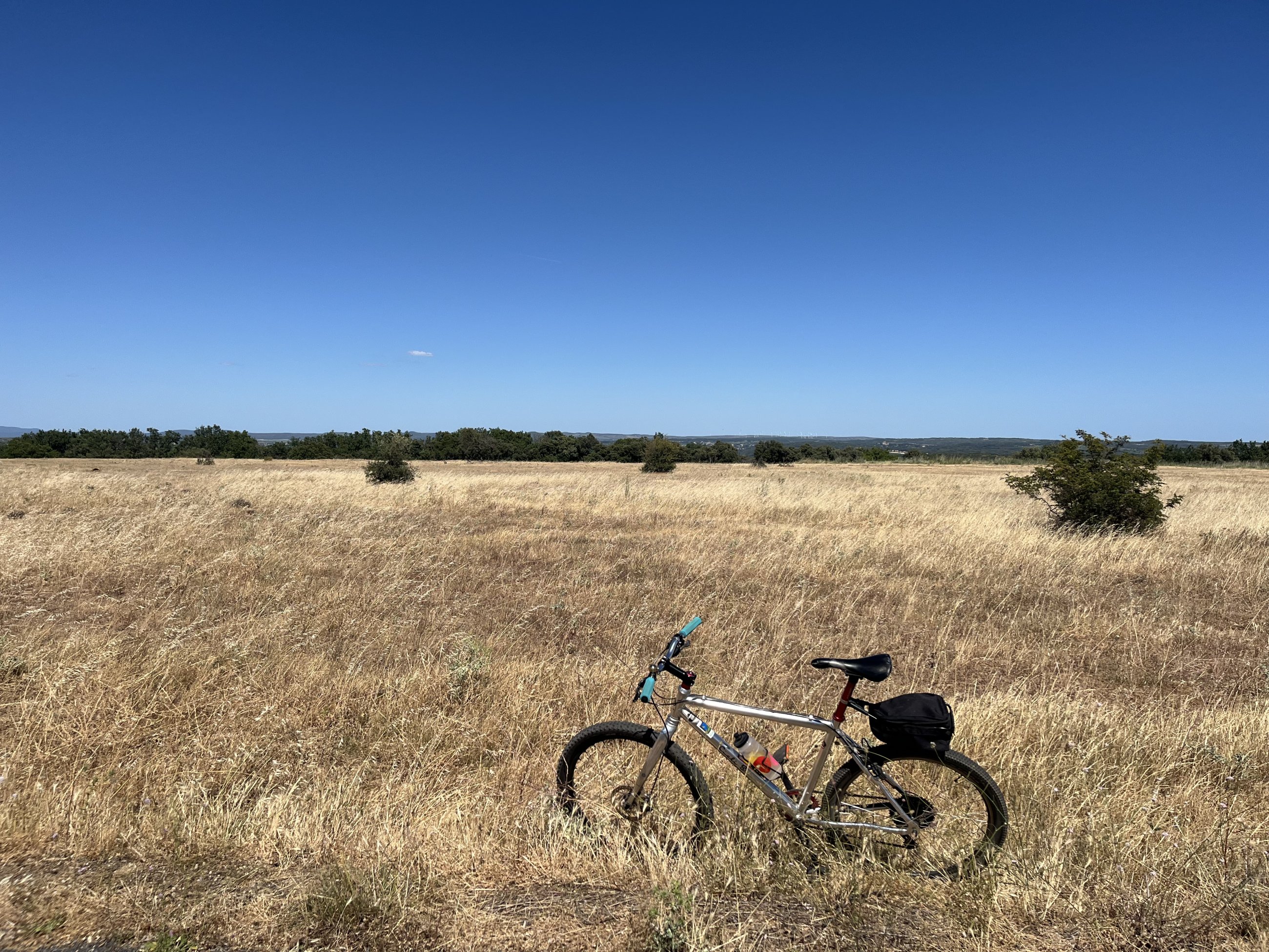 IMG_3875.jpeg