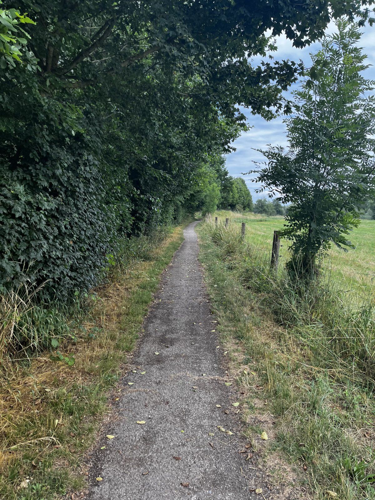 IMG_3880.jpeg