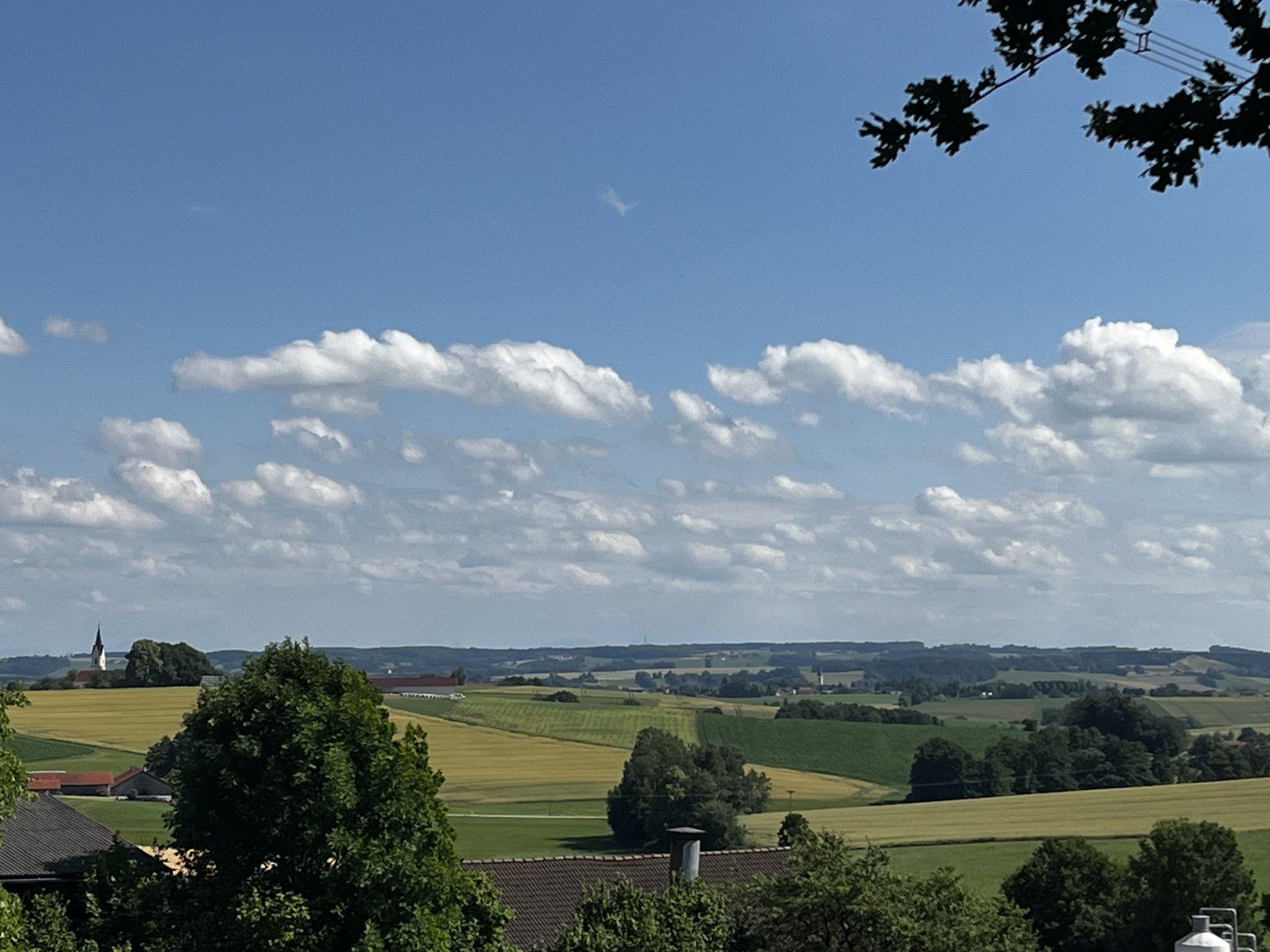 IMG_3892.jpeg