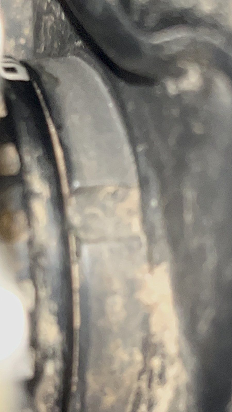 IMG_3920.jpeg
