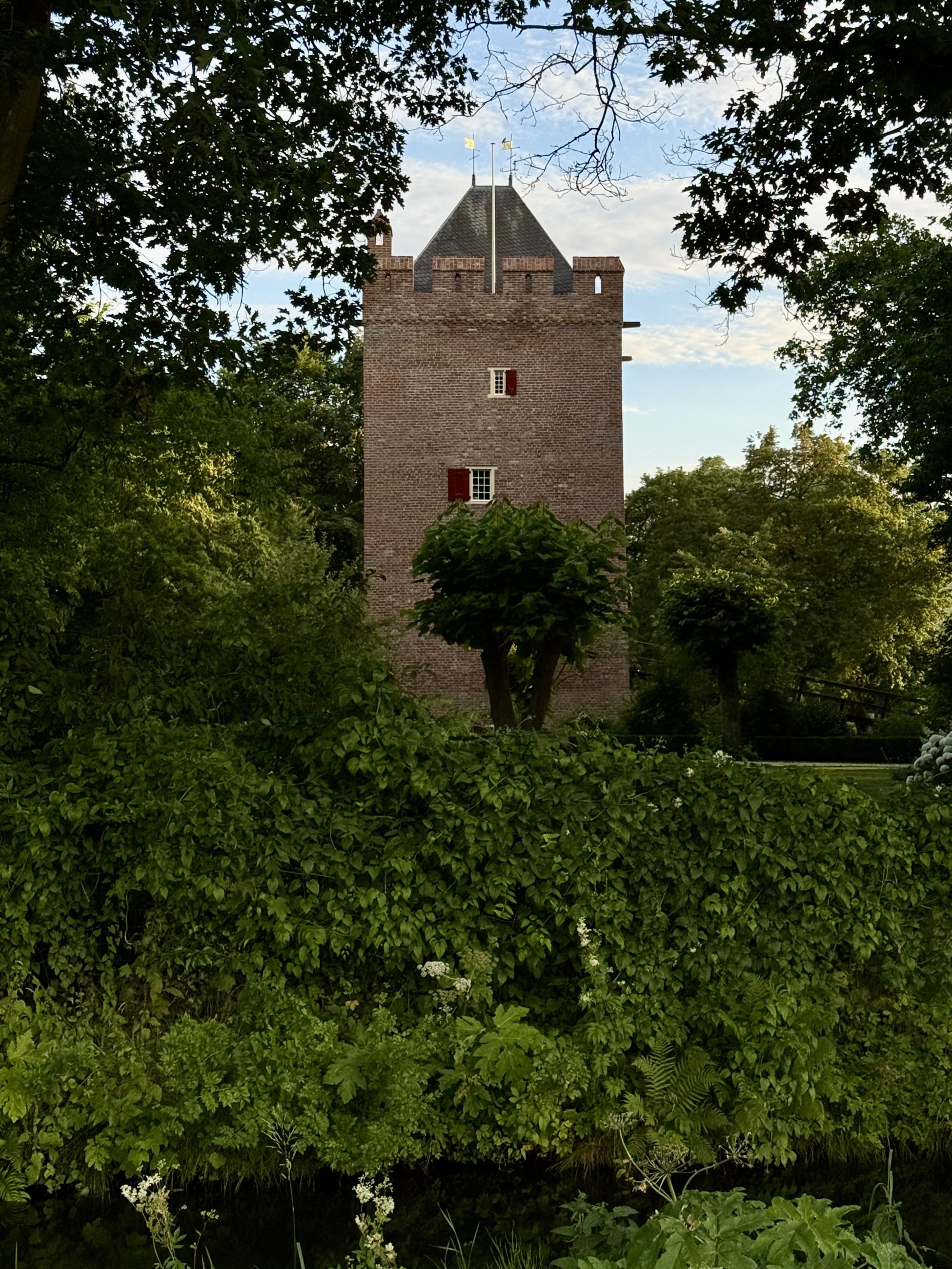 IMG_4008.jpeg