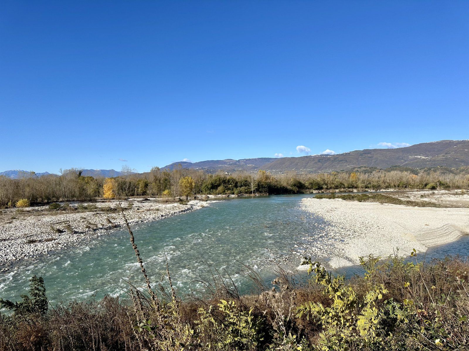 IMG_4029.jpeg
