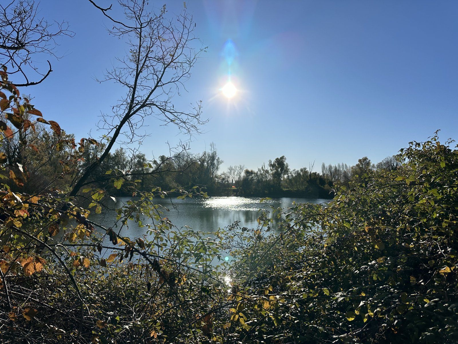 IMG_4036.jpeg