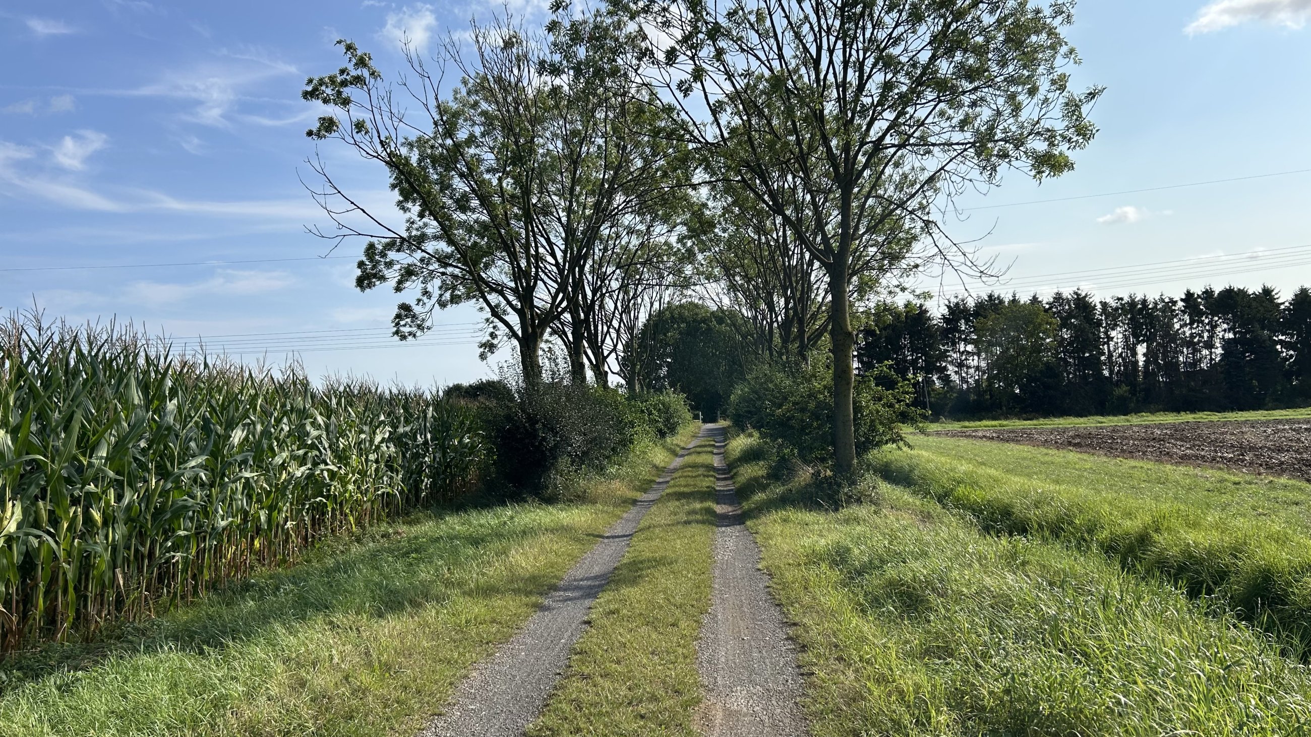 IMG_4057.jpeg