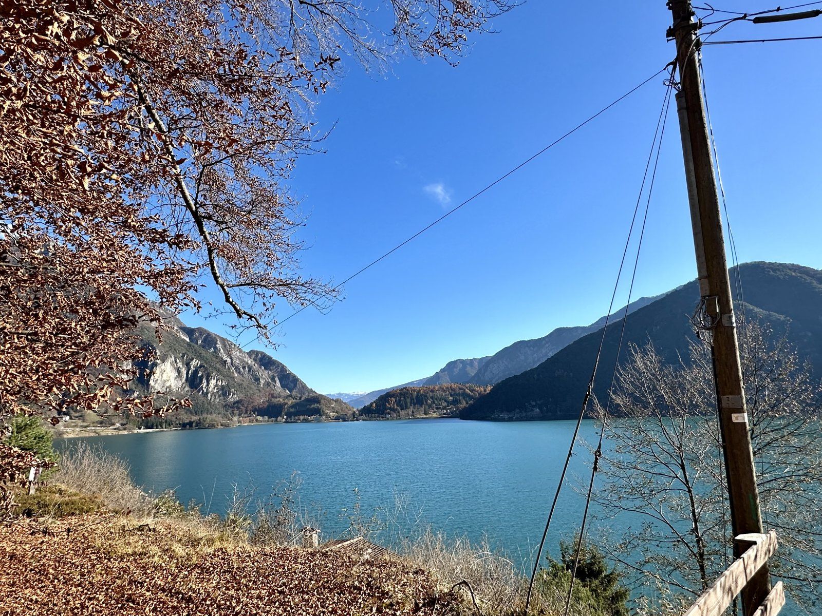 IMG_4146.jpeg