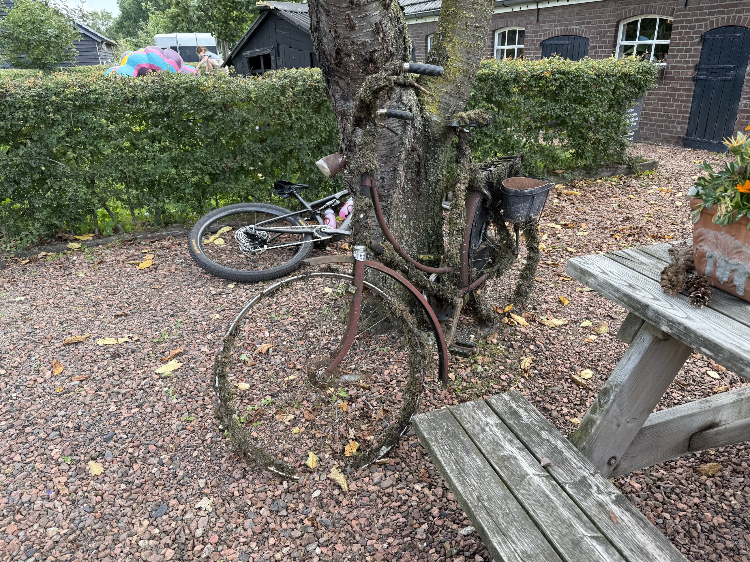 IMG_4159.jpeg