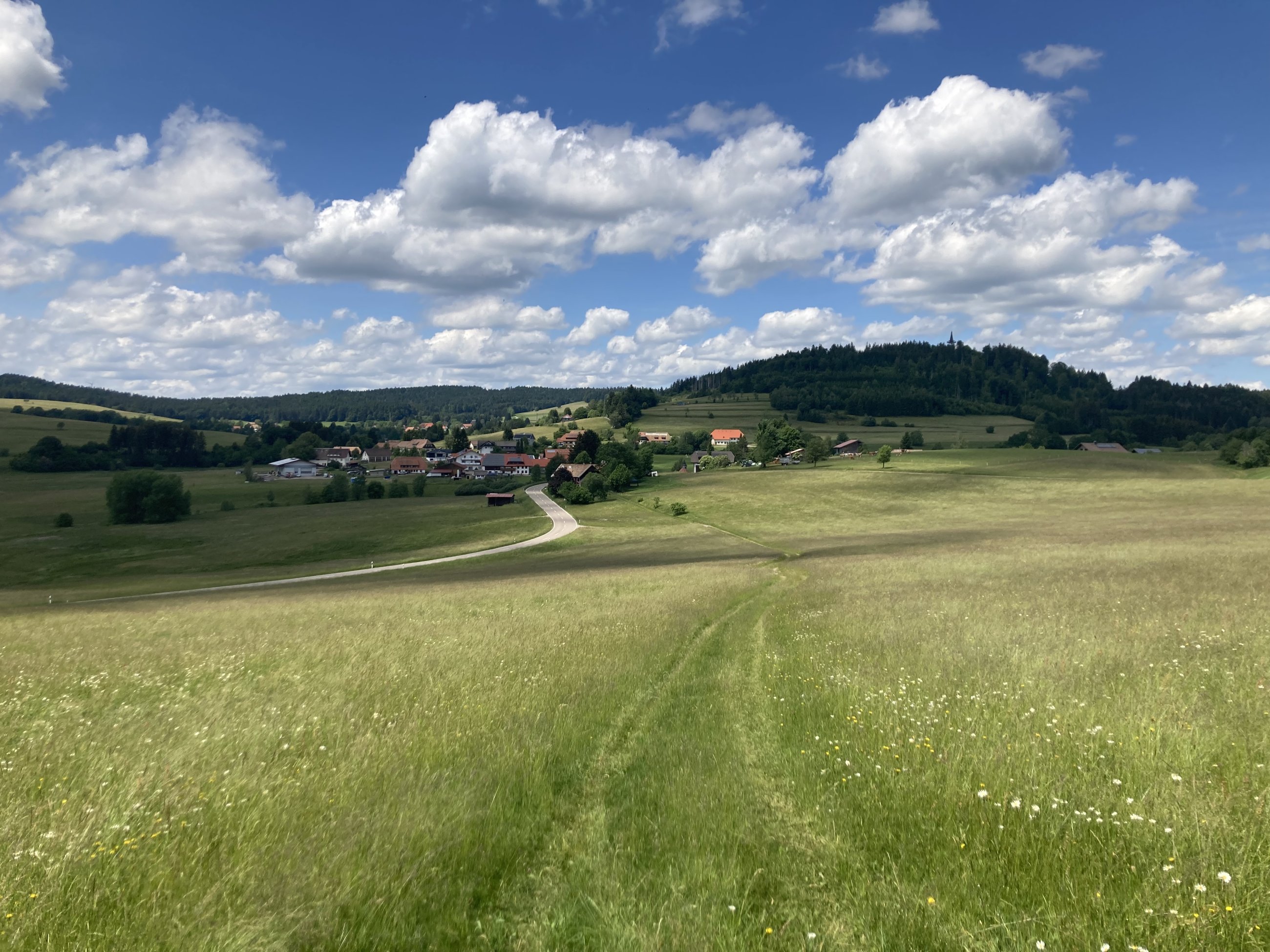 IMG_4199.jpeg
