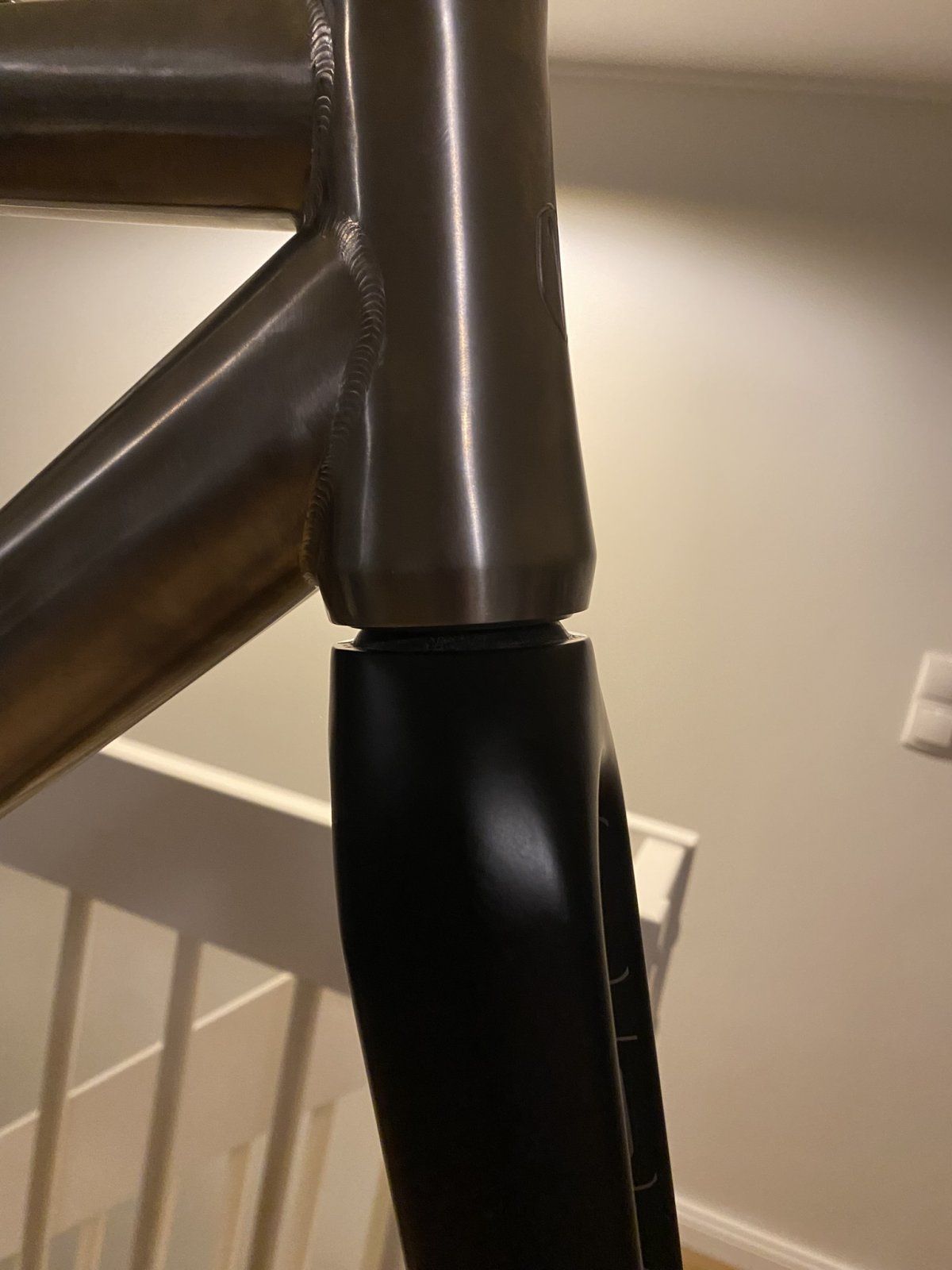 IMG_4237.JPEG