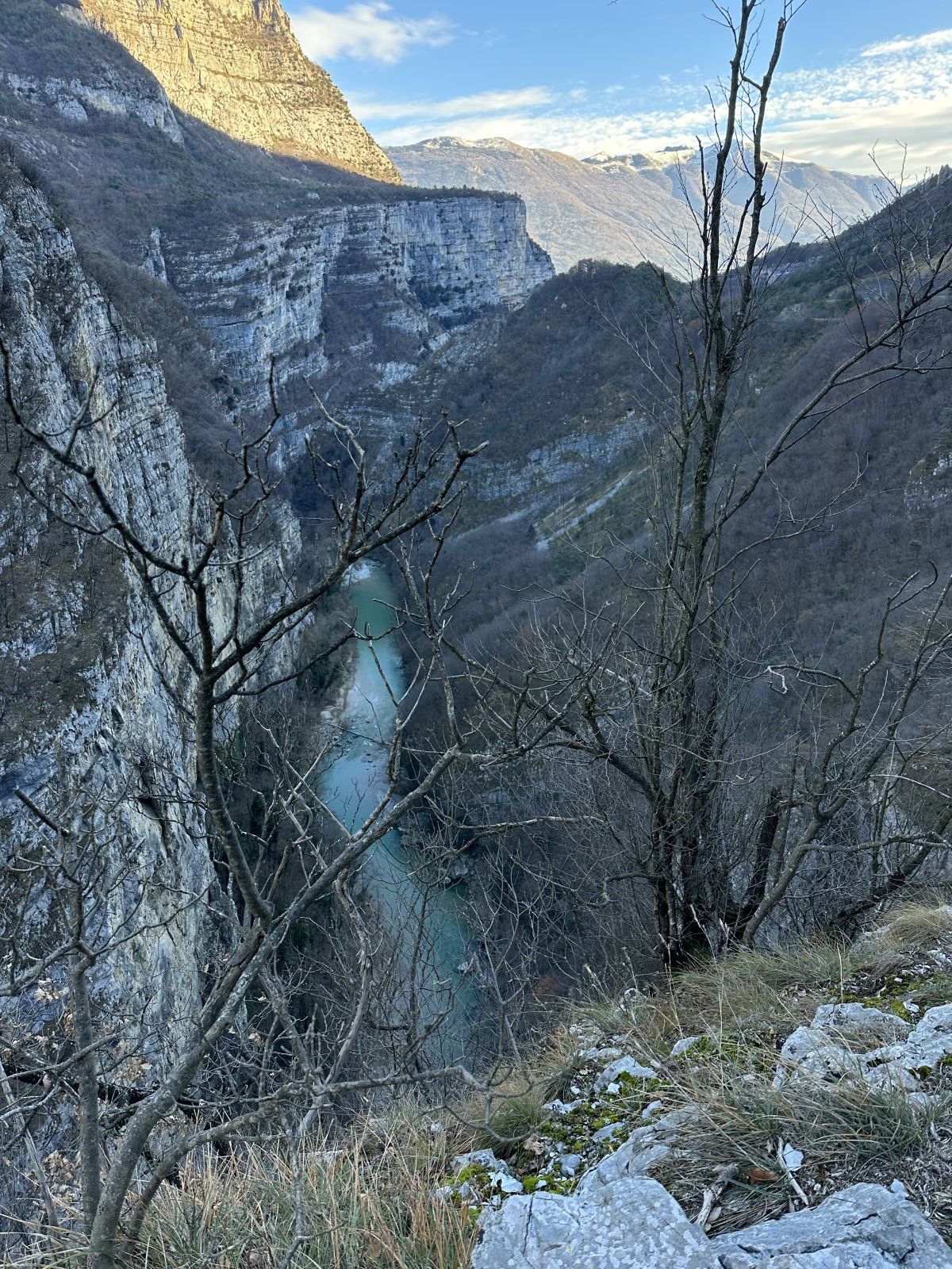 IMG_4398.jpeg